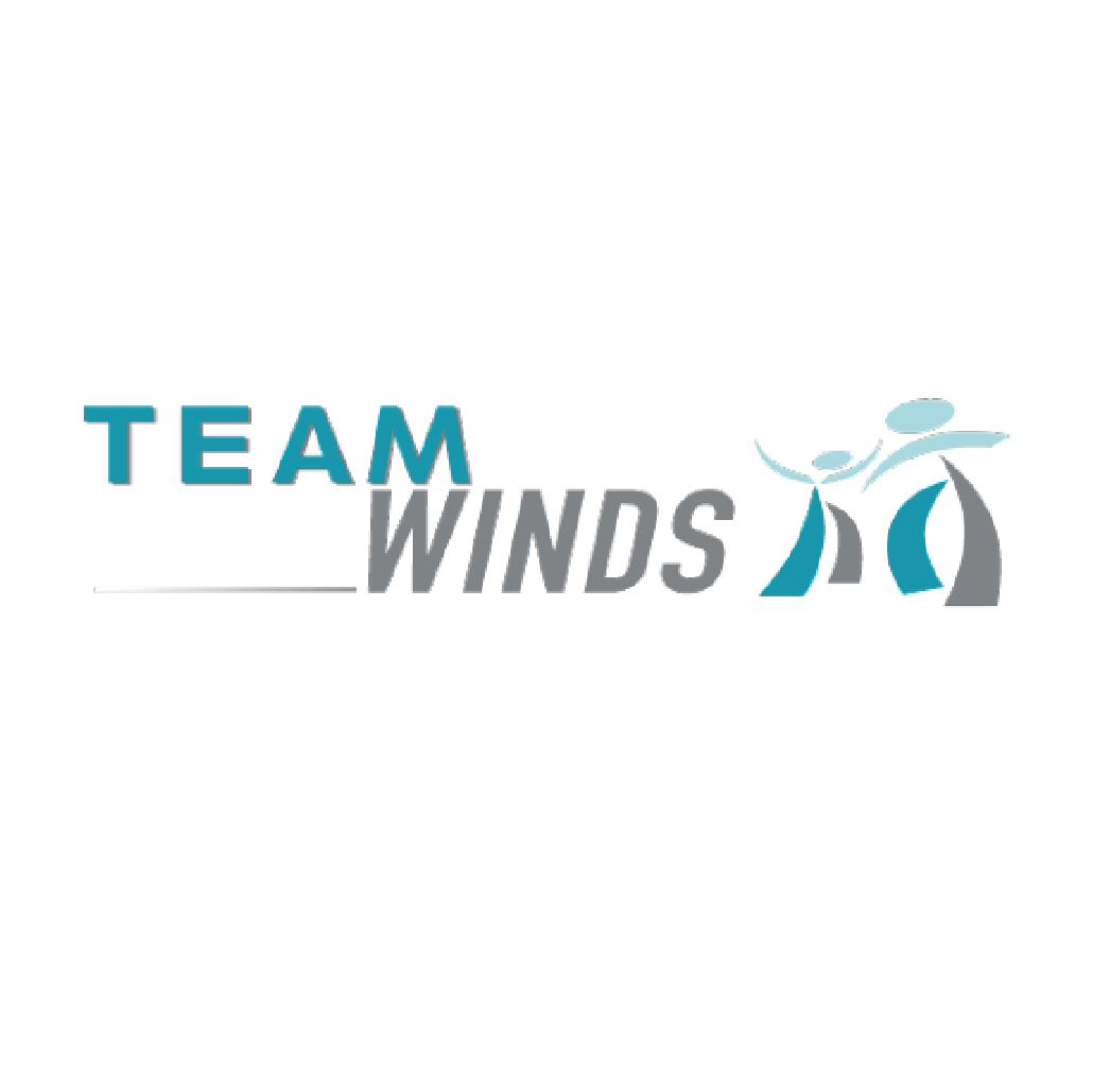 Logo et habillage des bateaux de la société Team Winds