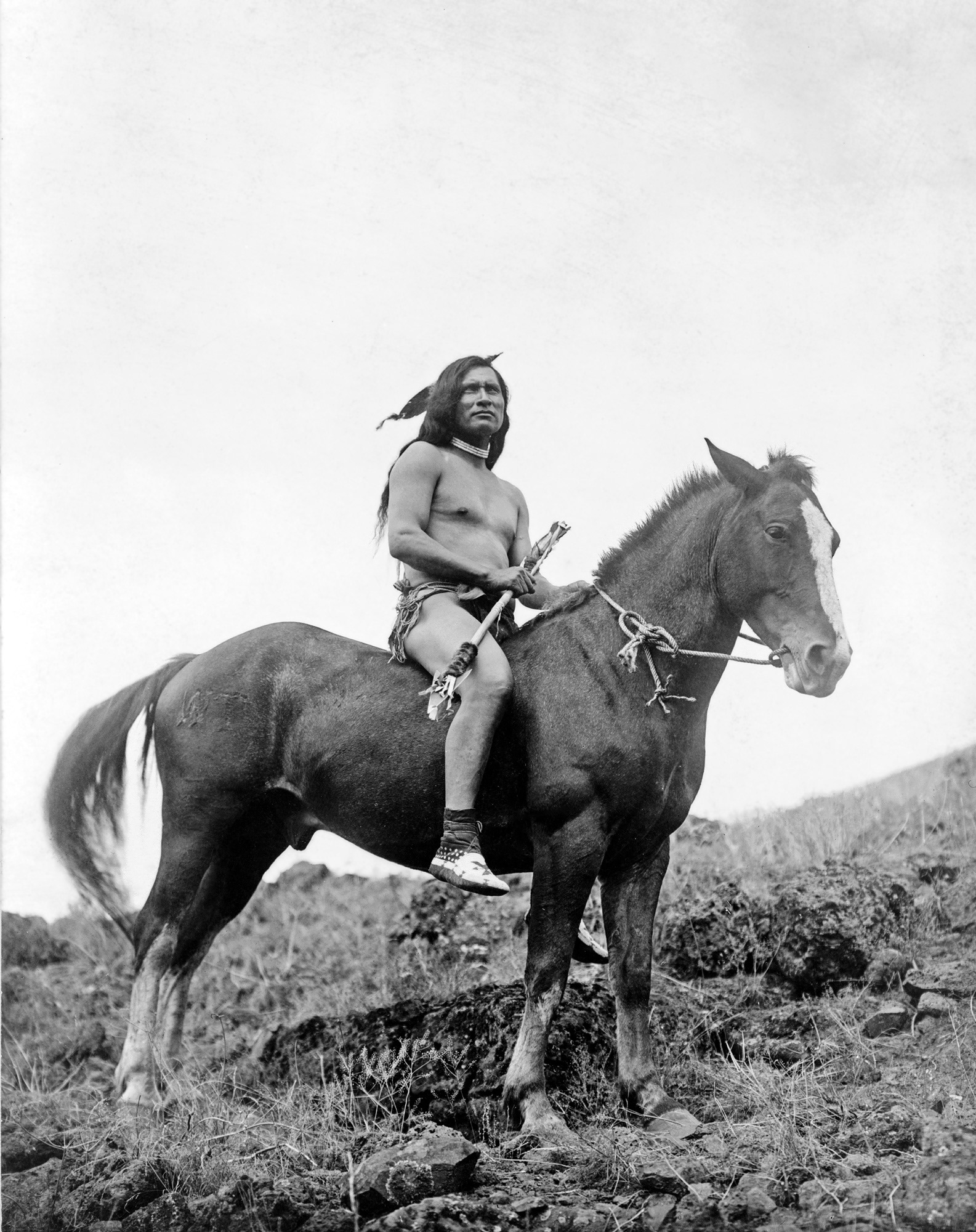 Guerrier Nez percé