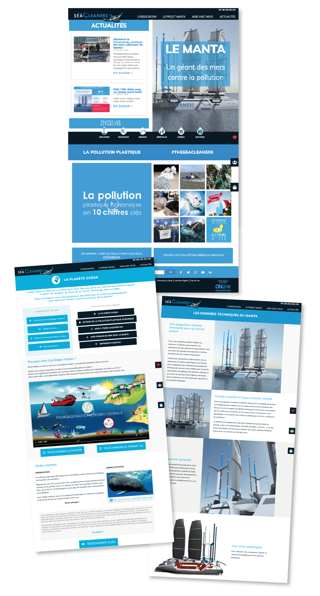 Création et gestion d'un site internet multilingue - Wordpress