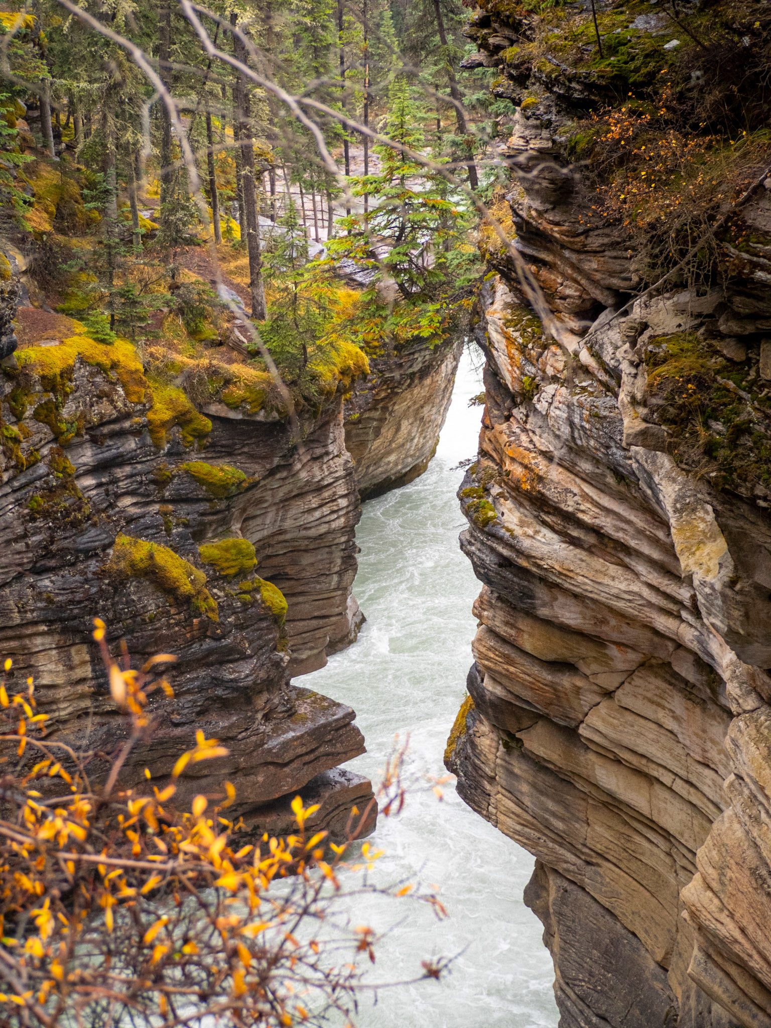 Another nice river in the Rockies