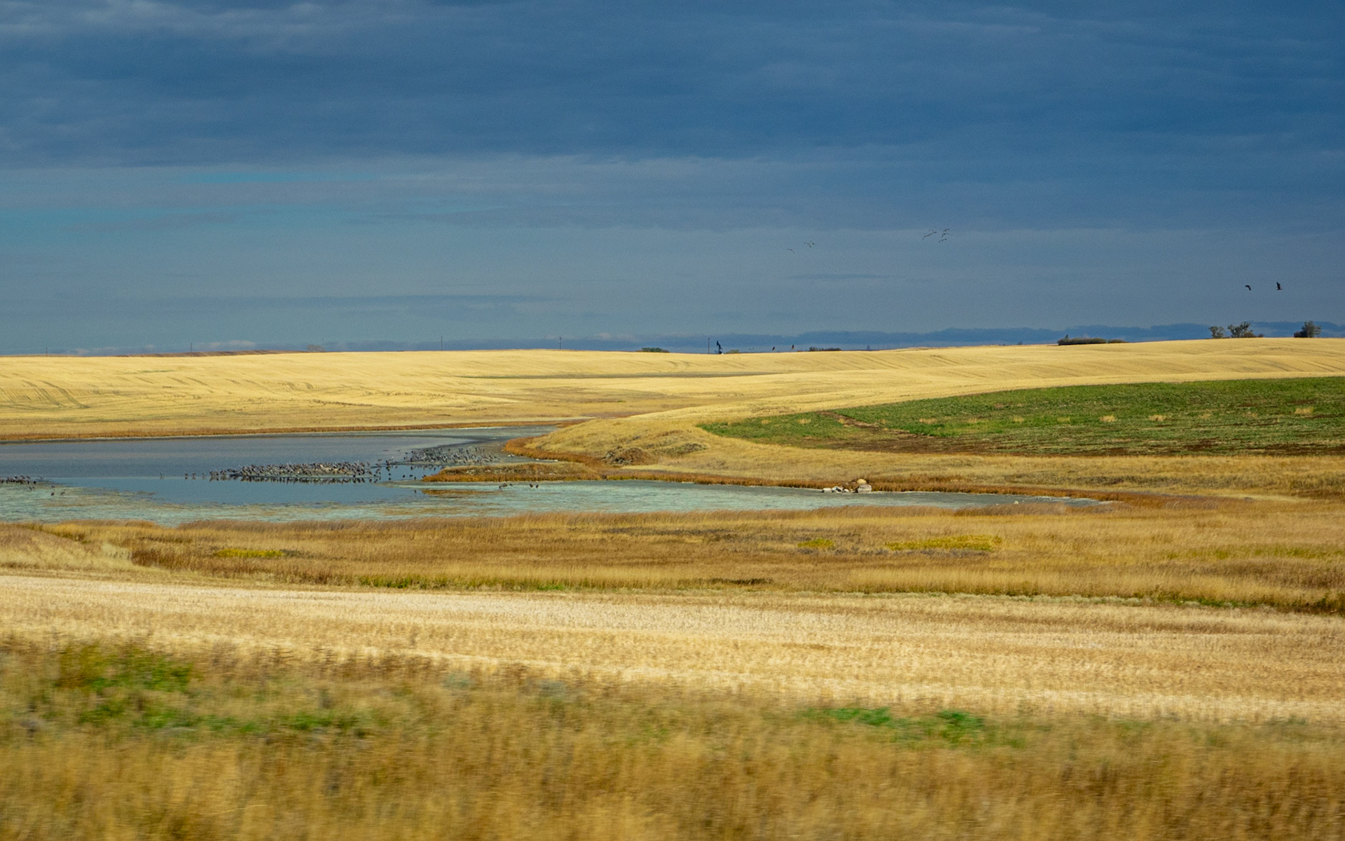 Somewhere in Saskatchewan