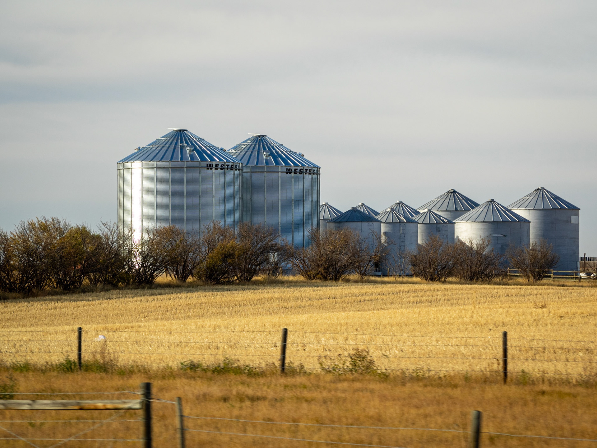 Small farm from Alberta