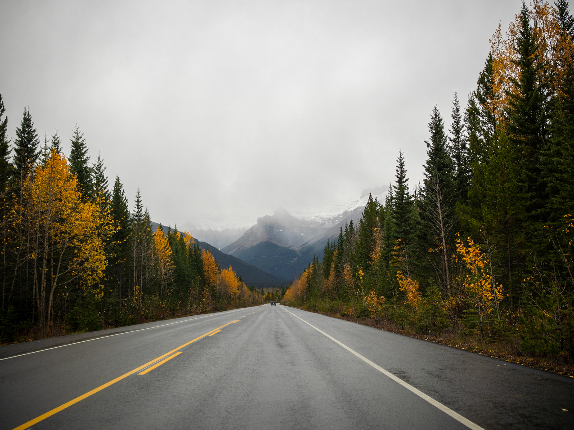 Somewhere in the Rockies