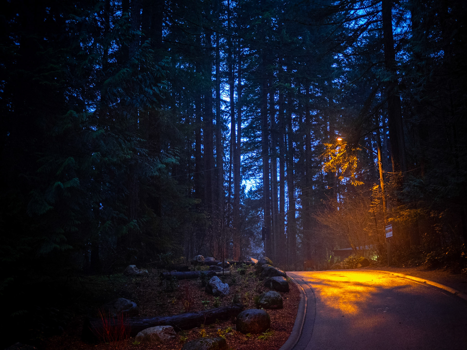 Somewhere in Lynn Valley