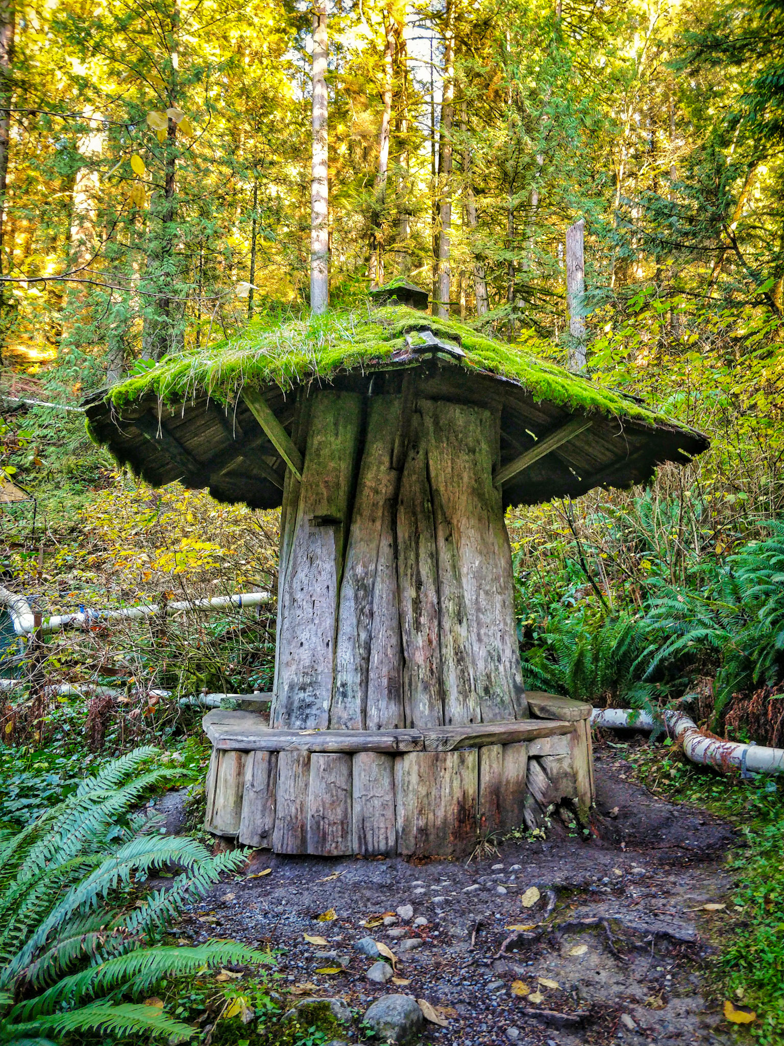 Capilano Regional Park