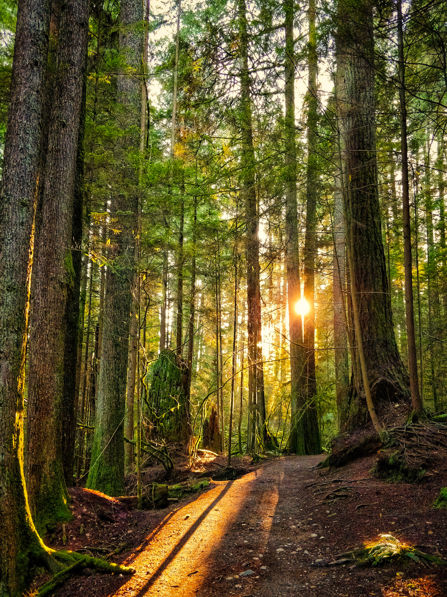 Capilano Regional Park