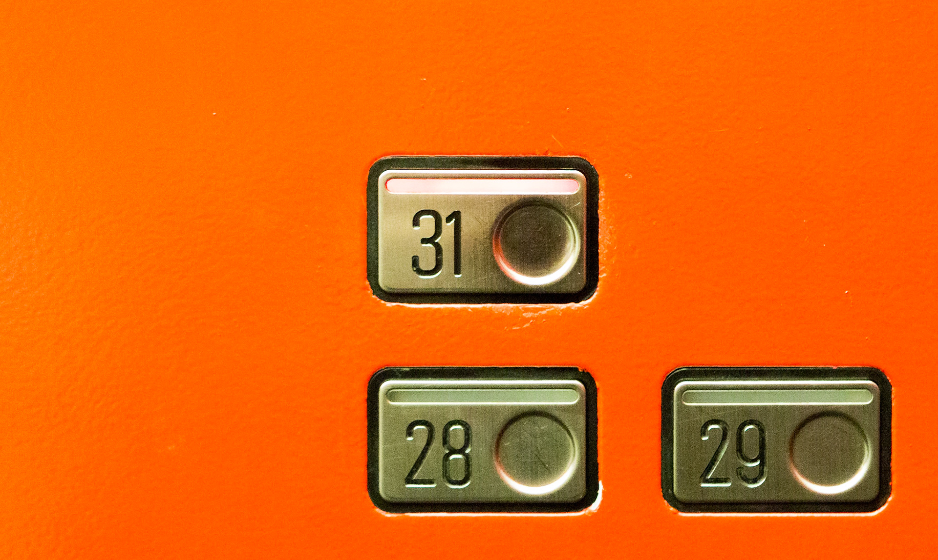 No 31