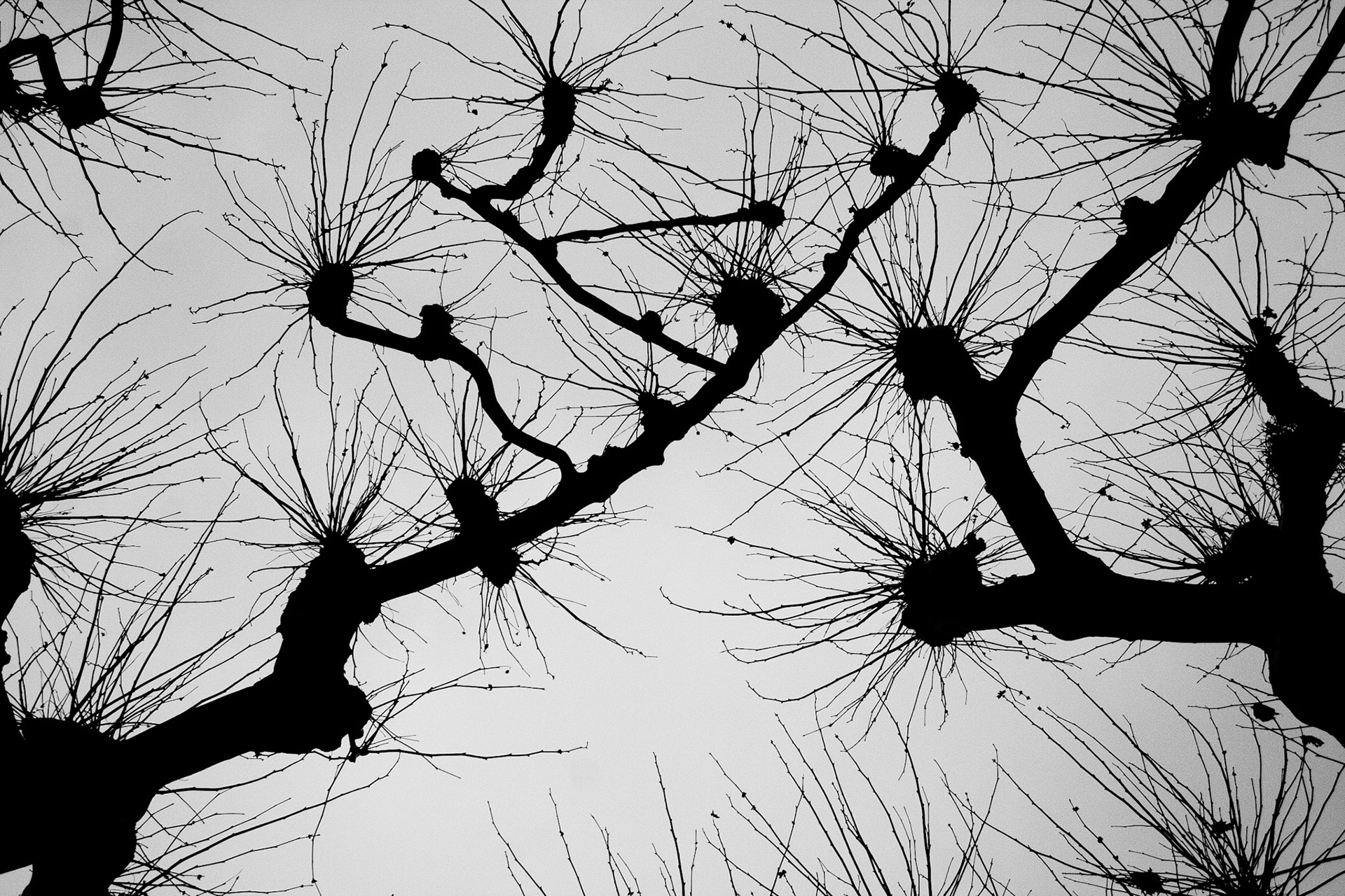 networked