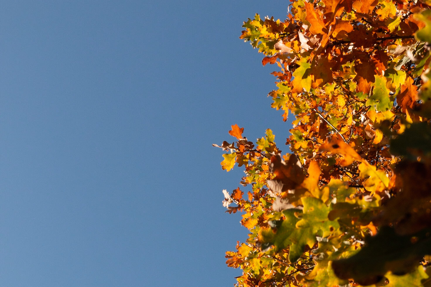 On the Verge of Autum 1