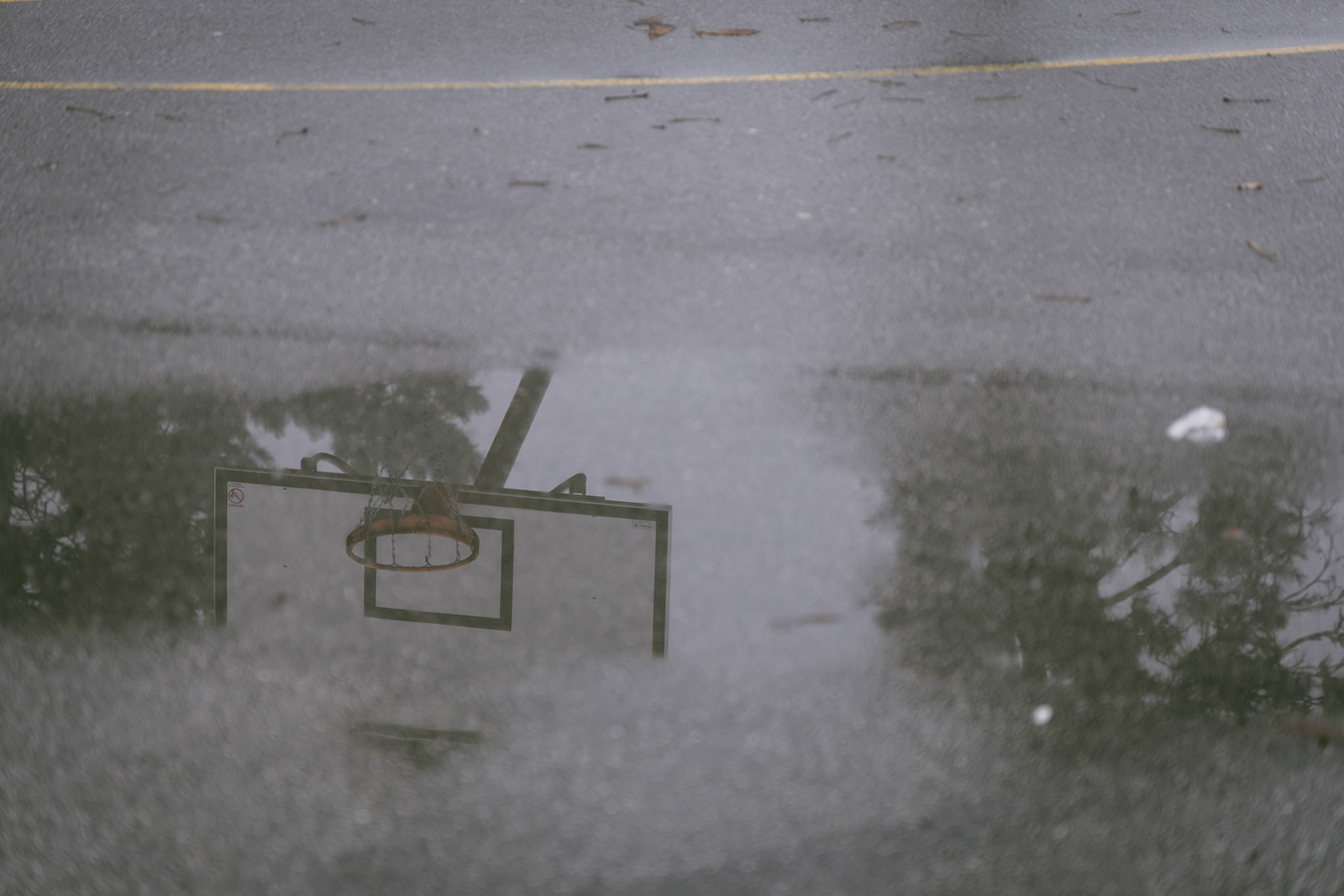 DNA Croatia Photography Award Winner - Hugo Smeenk Photography