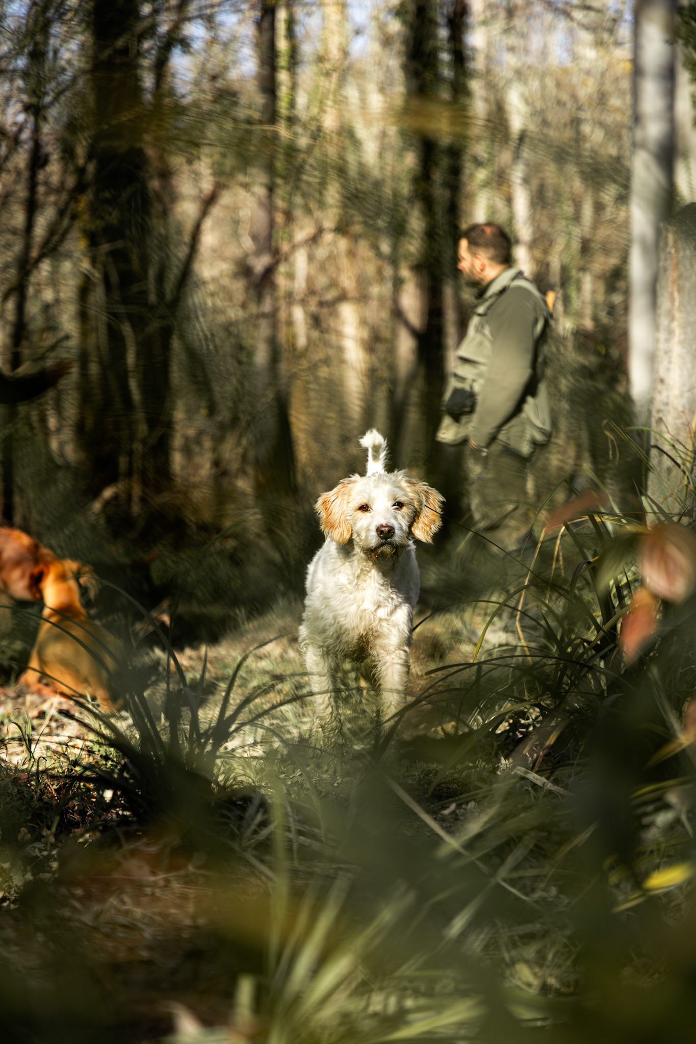 DNA Croatia Photography Award Winner - Hugo Smeenk Photography