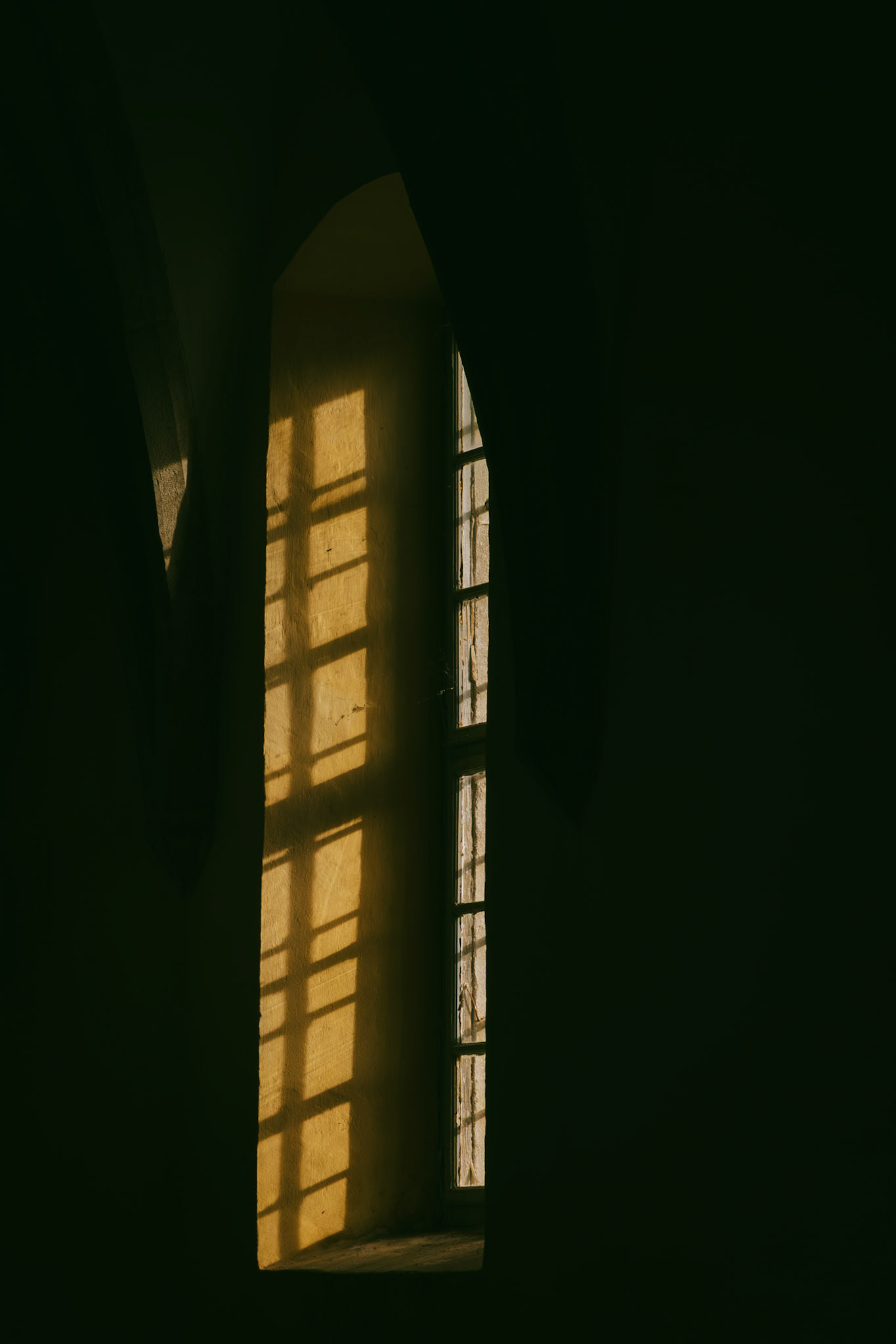 DNA Croatia Photography Award Winner - Hugo Smeenk Photography