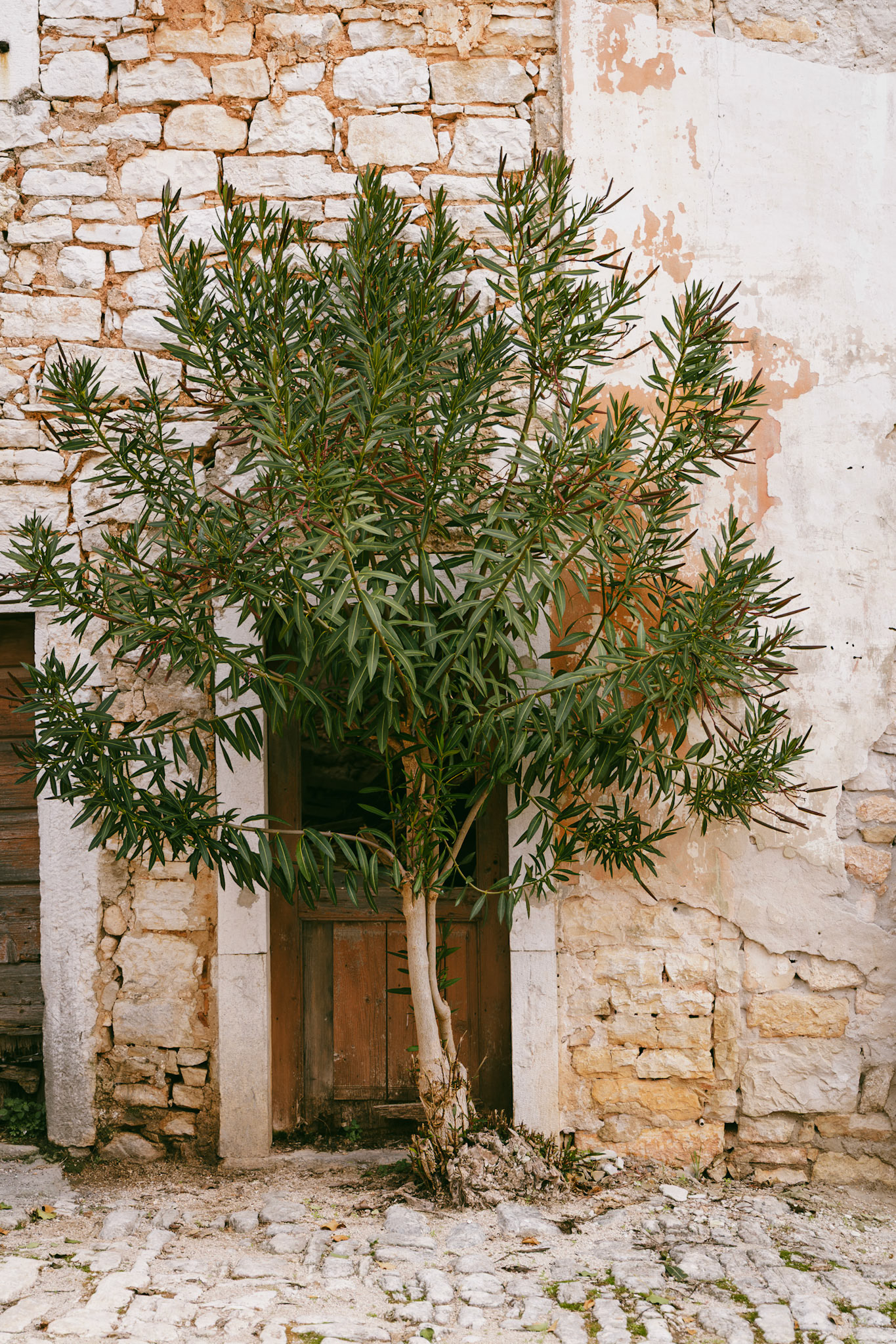 DNA Croatia Photography Award Winner - Hugo Smeenk Photography