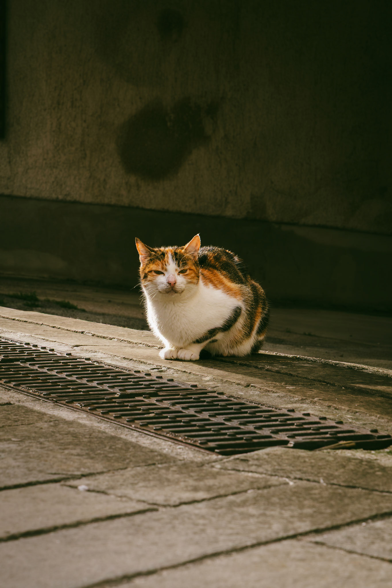 DNA Croatia Photography Award Winner - Hugo Smeenk Photography