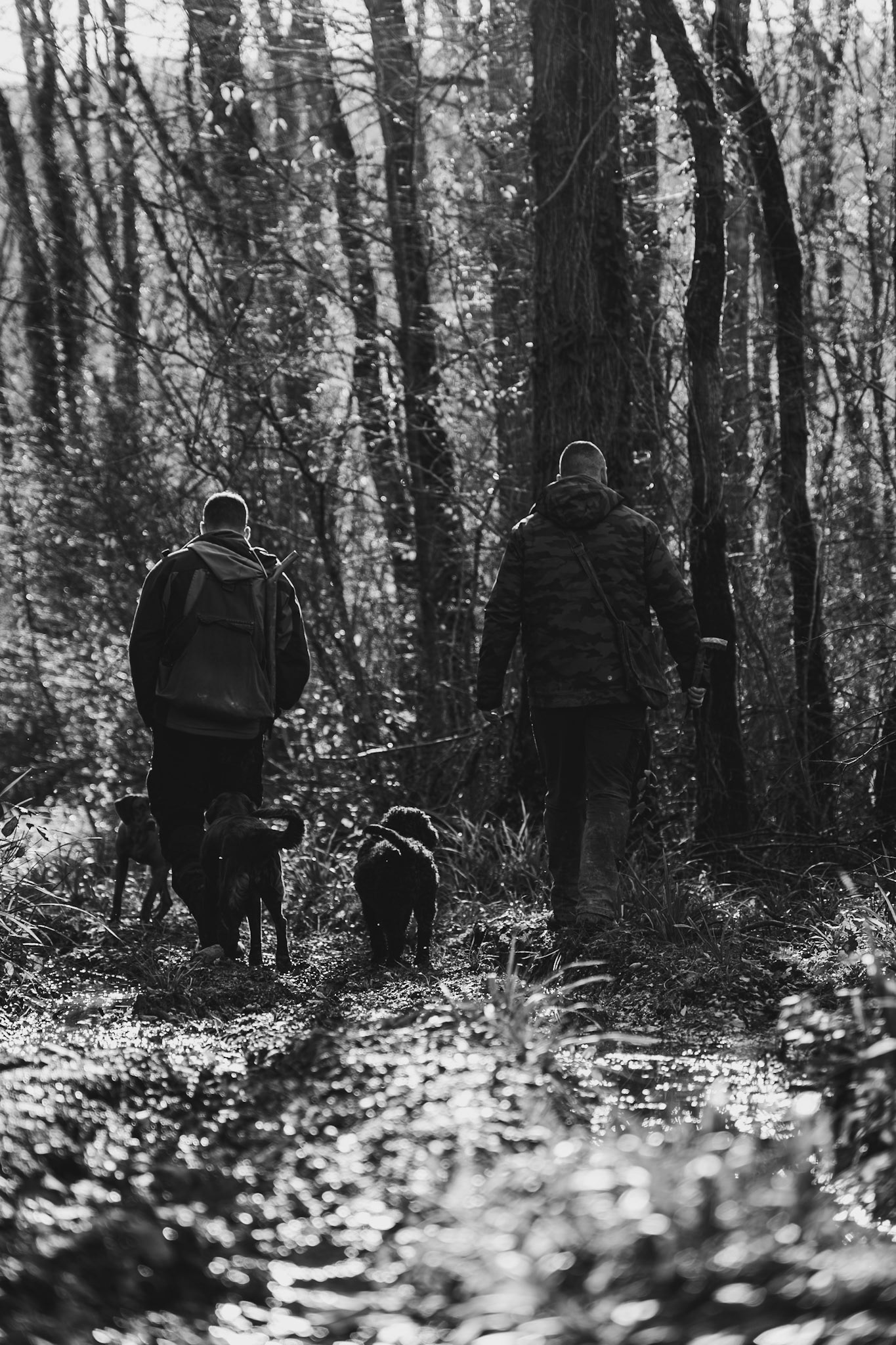 DNA Croatia Photography Award Winner - Hugo Smeenk Photography