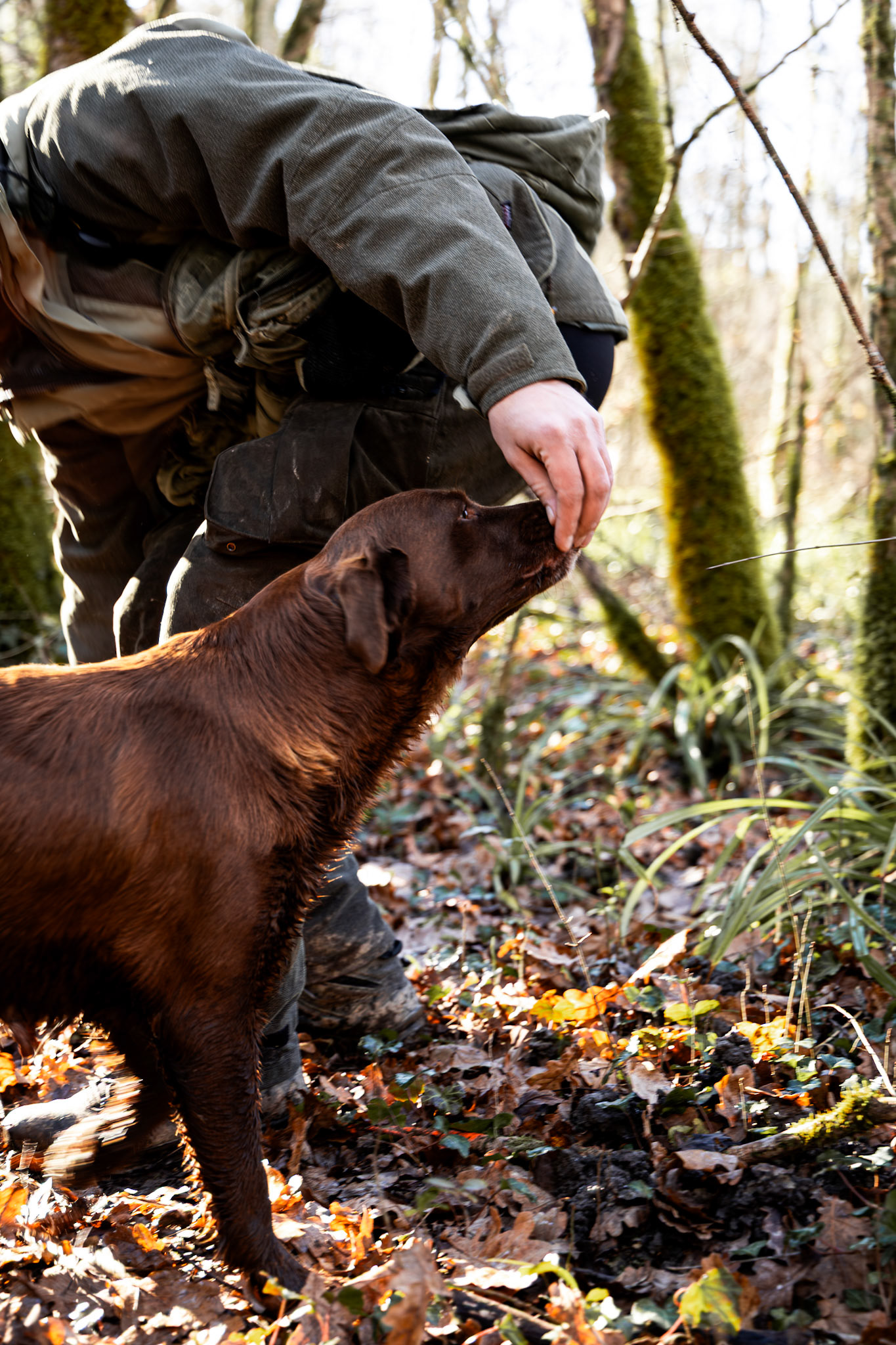 DNA Croatia Photography Award Winner - Hugo Smeenk Photography
