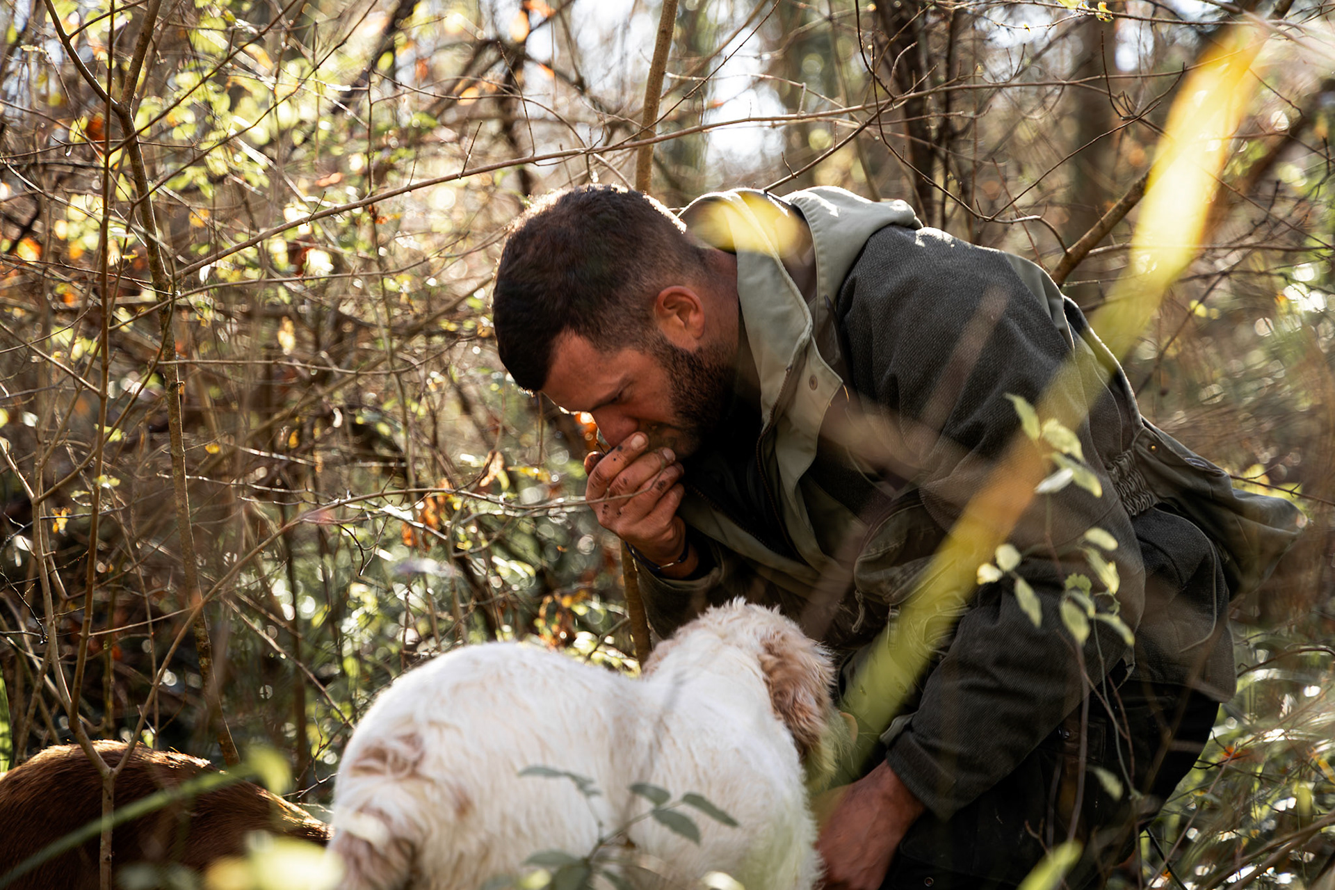 DNA Croatia Photography Award Winner - Hugo Smeenk Photography