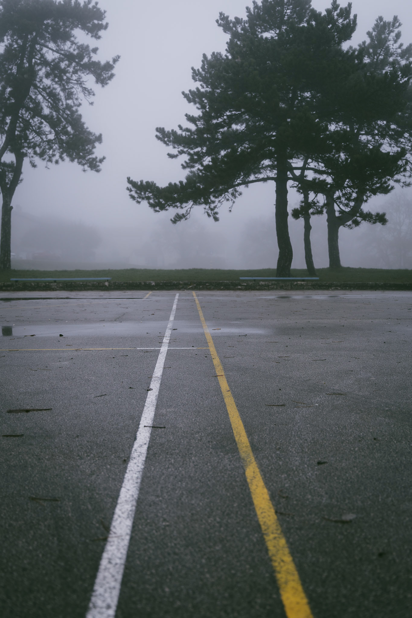 DNA Croatia Photography Award Winner - Hugo Smeenk Photography