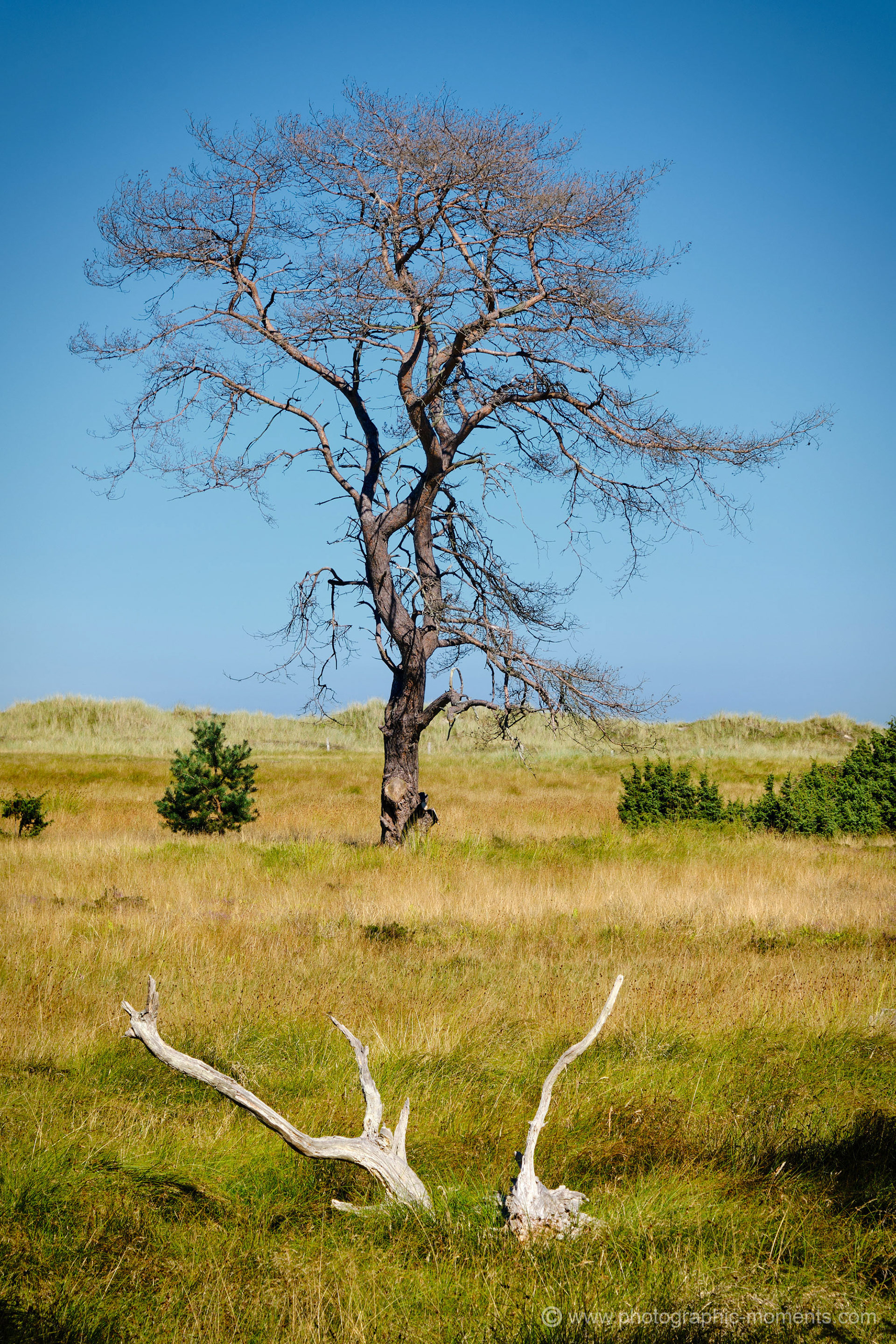 Insel Møn/ Dänemark