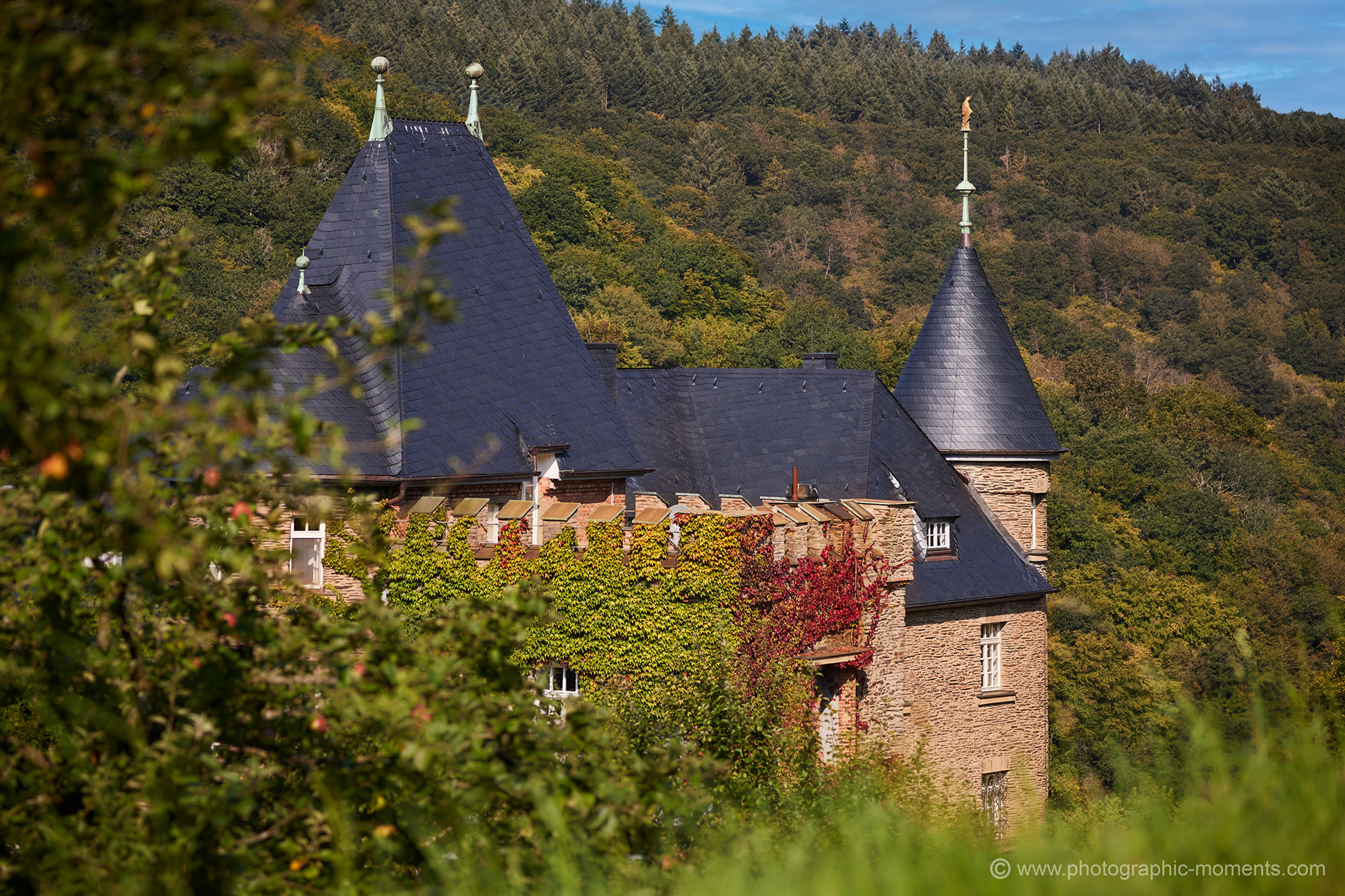 Weingut Reichsgraf von Kesselstatt/ Ruwertal