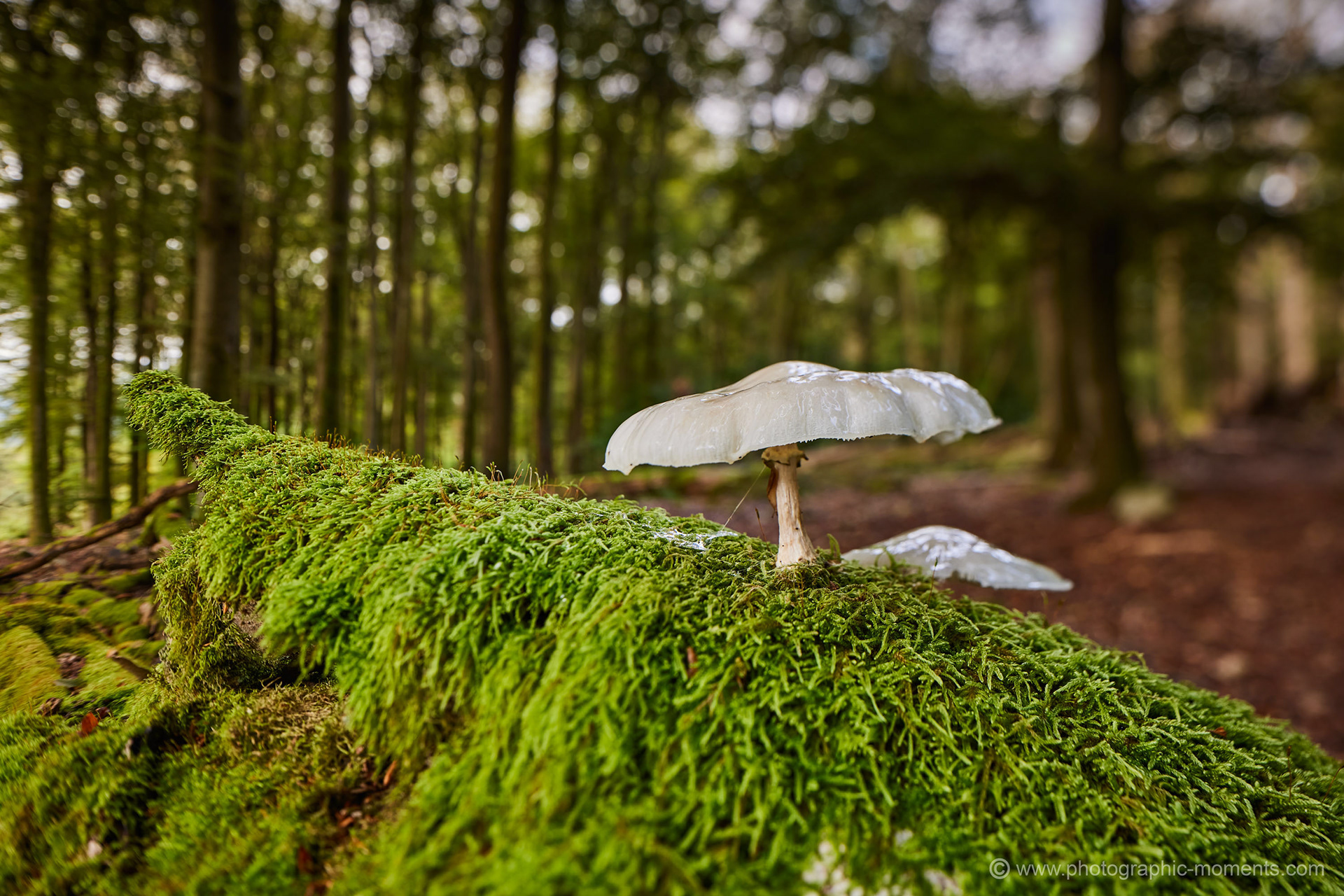 Nationalpark Hunsrück