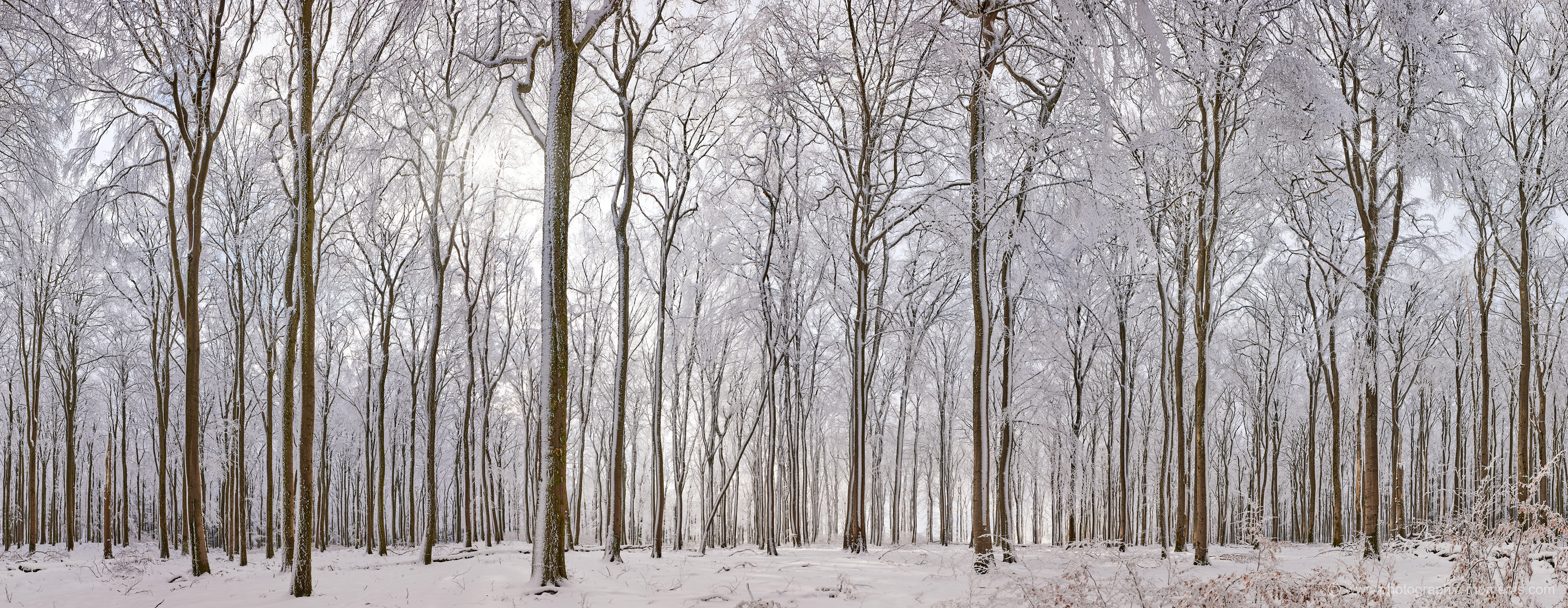 Nationalpark Saar-Hunsrück
