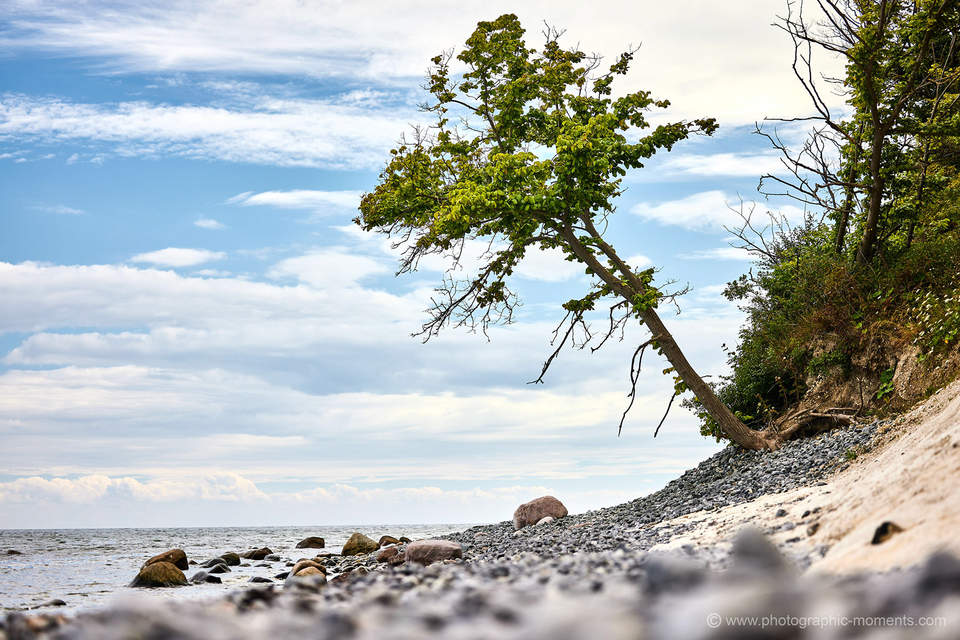 Insel Møn/ Dänemark
