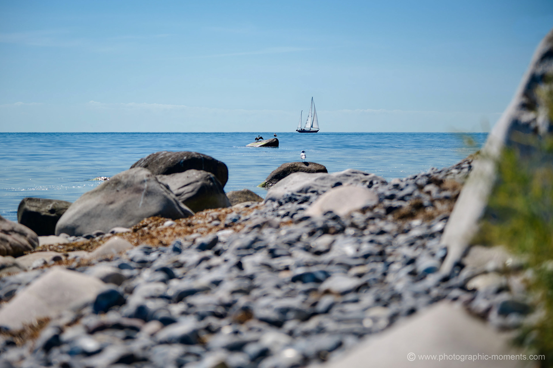 Insel Møn/ Dänemark