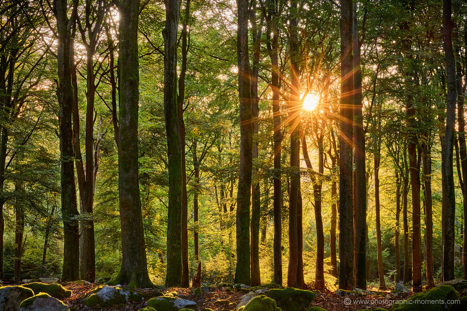 Nationalpark Hunsrück