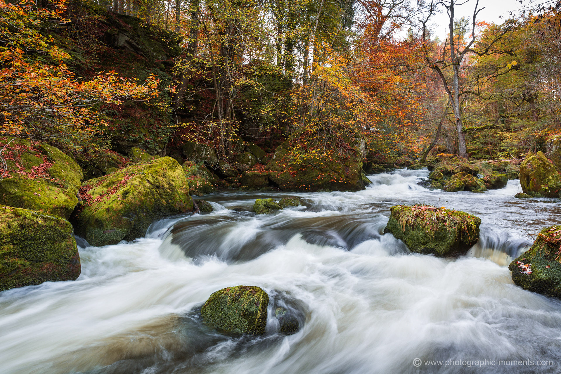 Irreler Wasserfälle/ Eifel