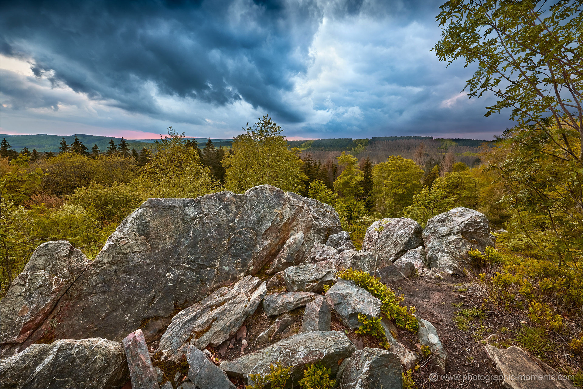 Nationalpark/ Hunsrück