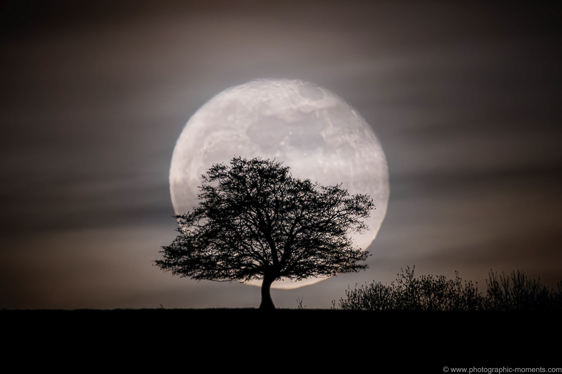 Mondaufgang/ Waldrach