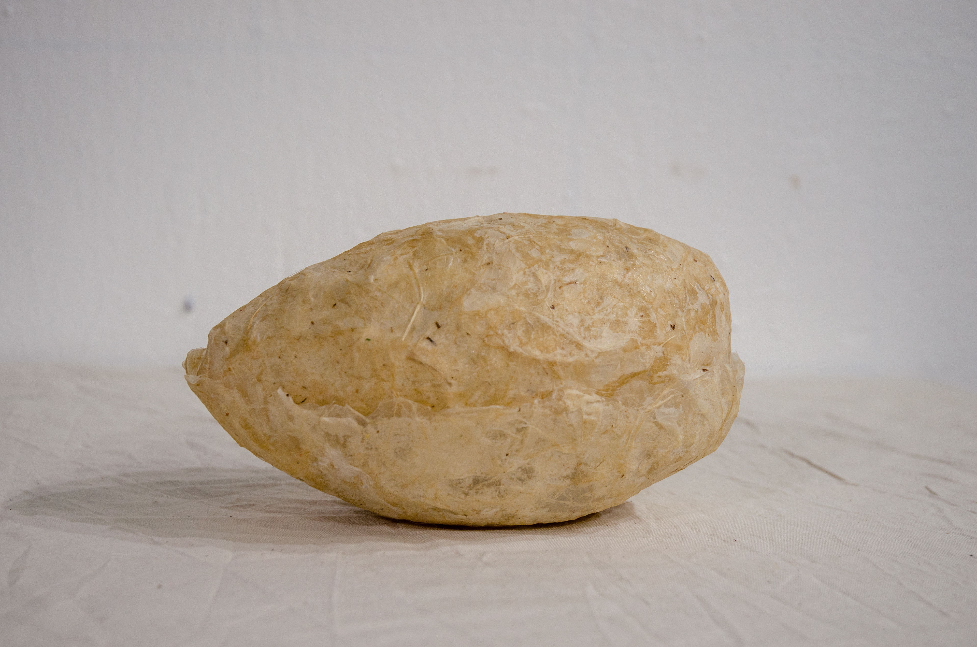 'Monarch,' 2023. Papier-mâché, hand embroidery on organza.