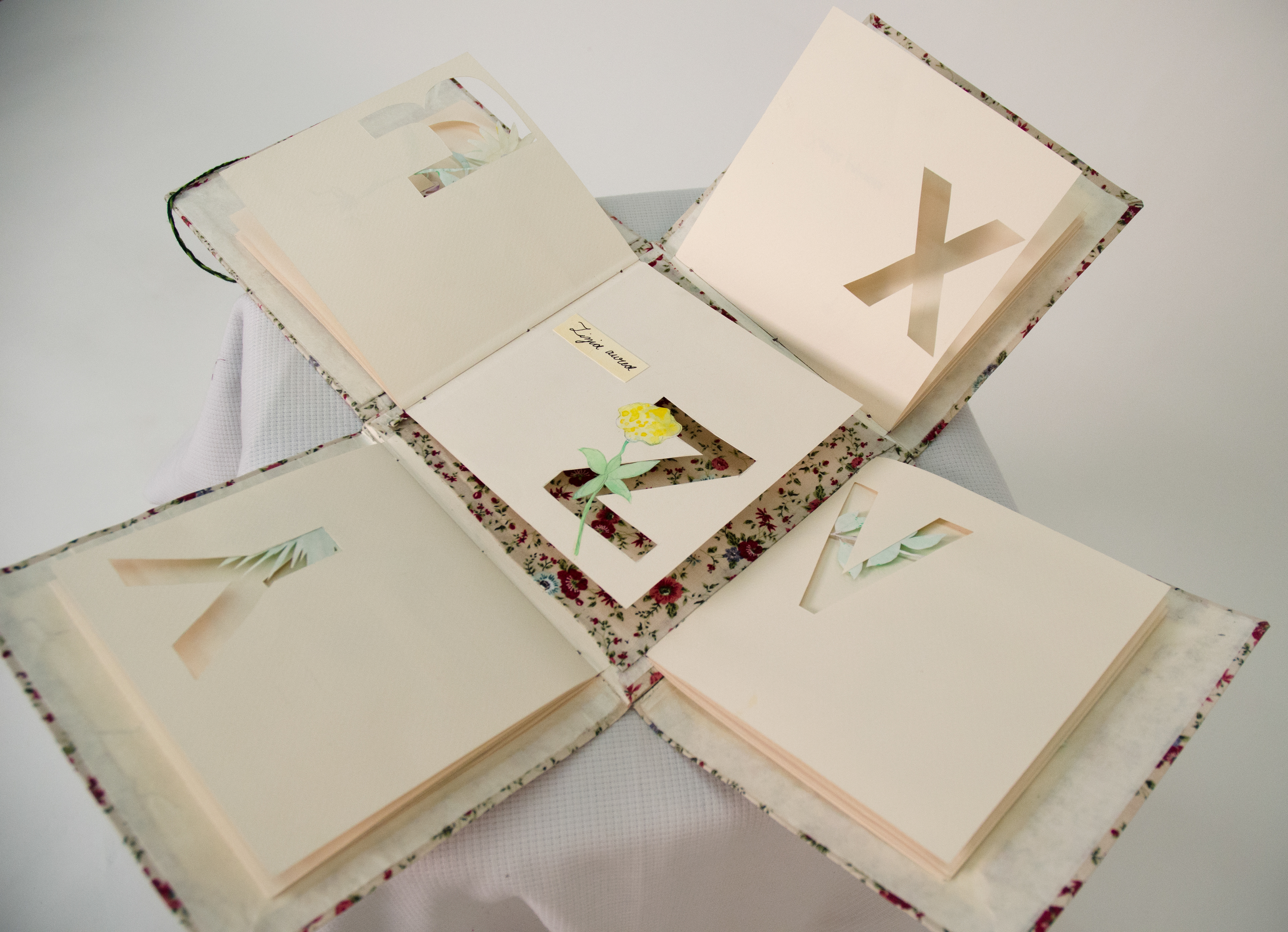 ‘An Alphabetical Compendium of Native Missouri Flora,’ 2017. Hand bound book, watercolor.