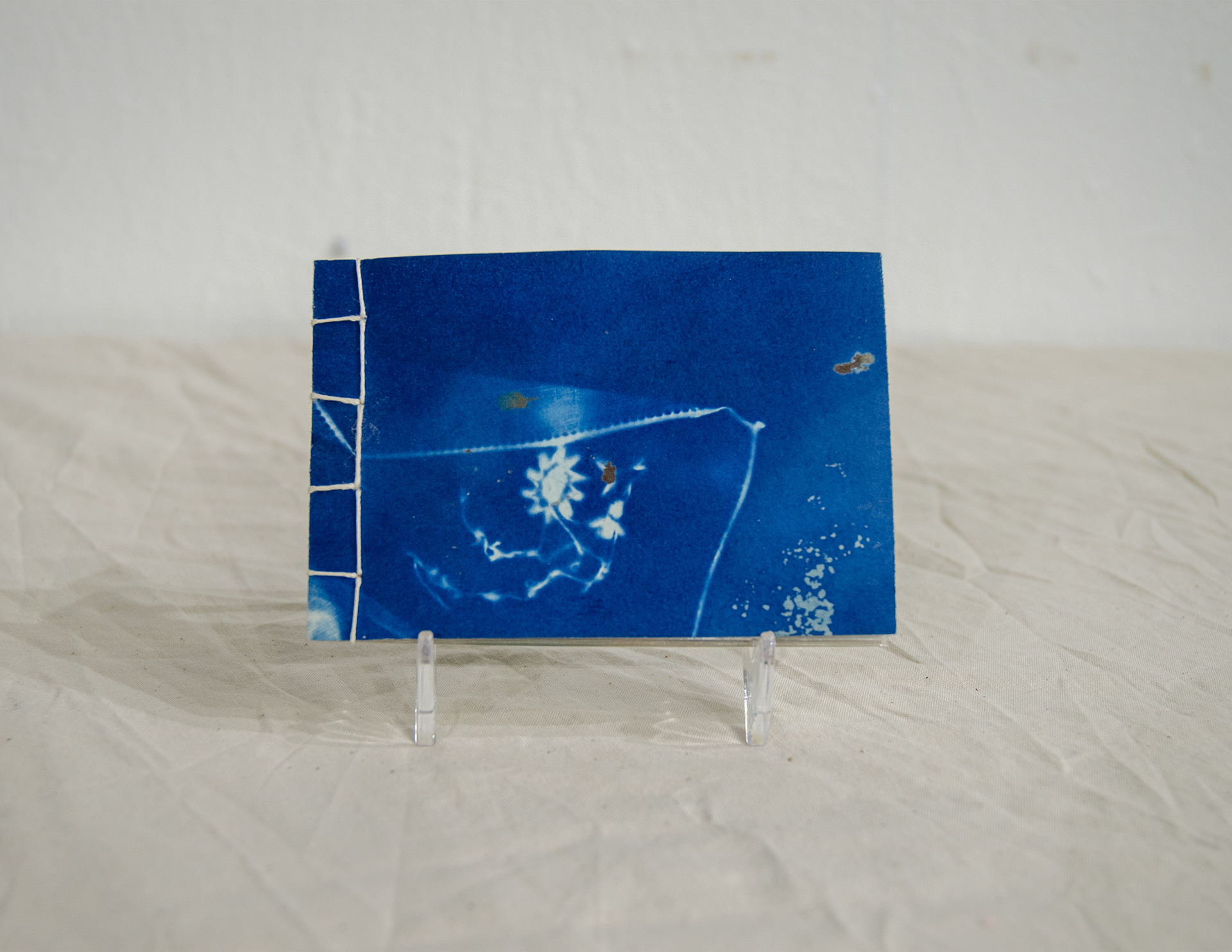 'Pack Rat,' 2020. Cyanotype on paper, found objects, Duralar. 