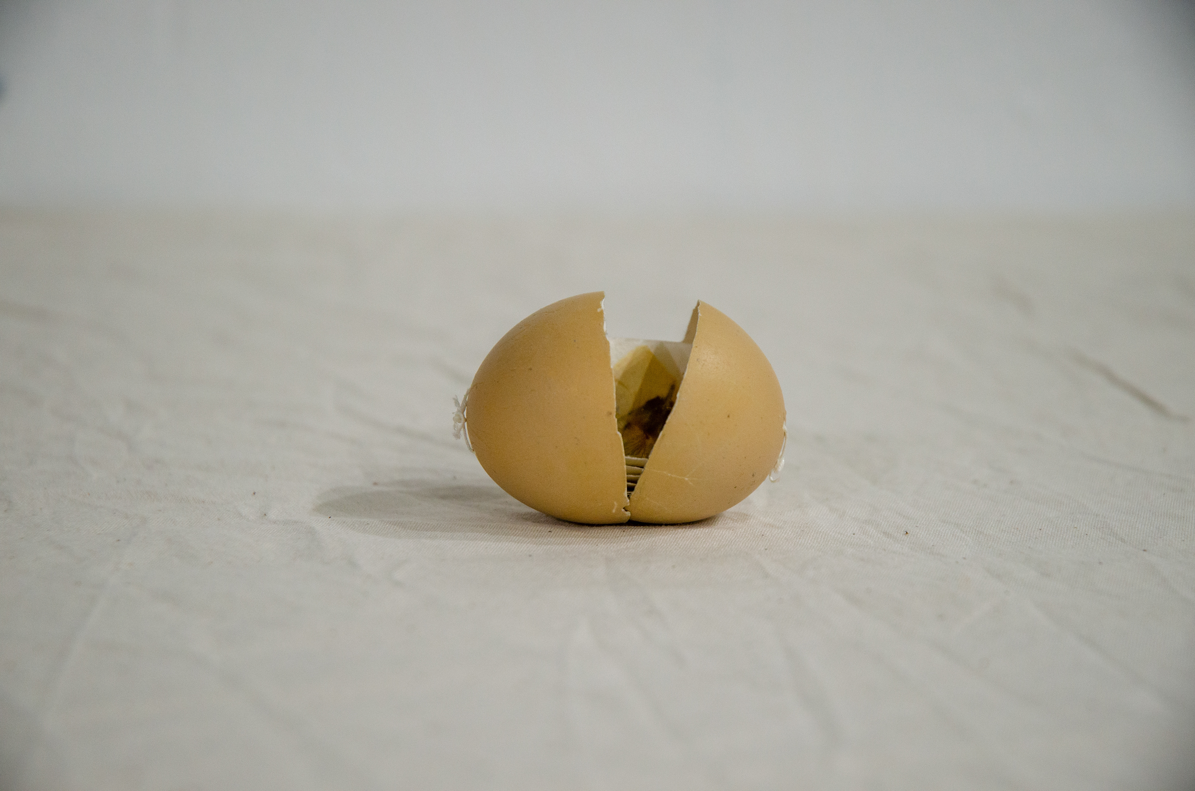 'Break,' 2020. Chicken egg, pressed flowers, paper.