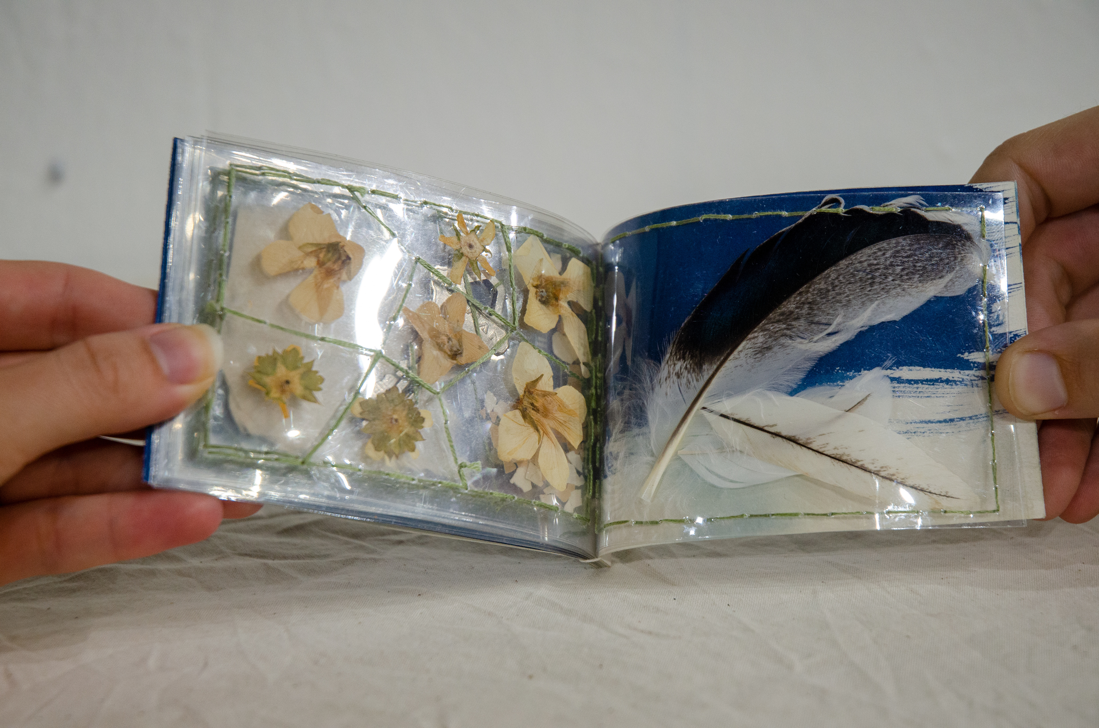 'Pack Rat,' 2020. Cyanotype on paper, found objects, Duralar. 