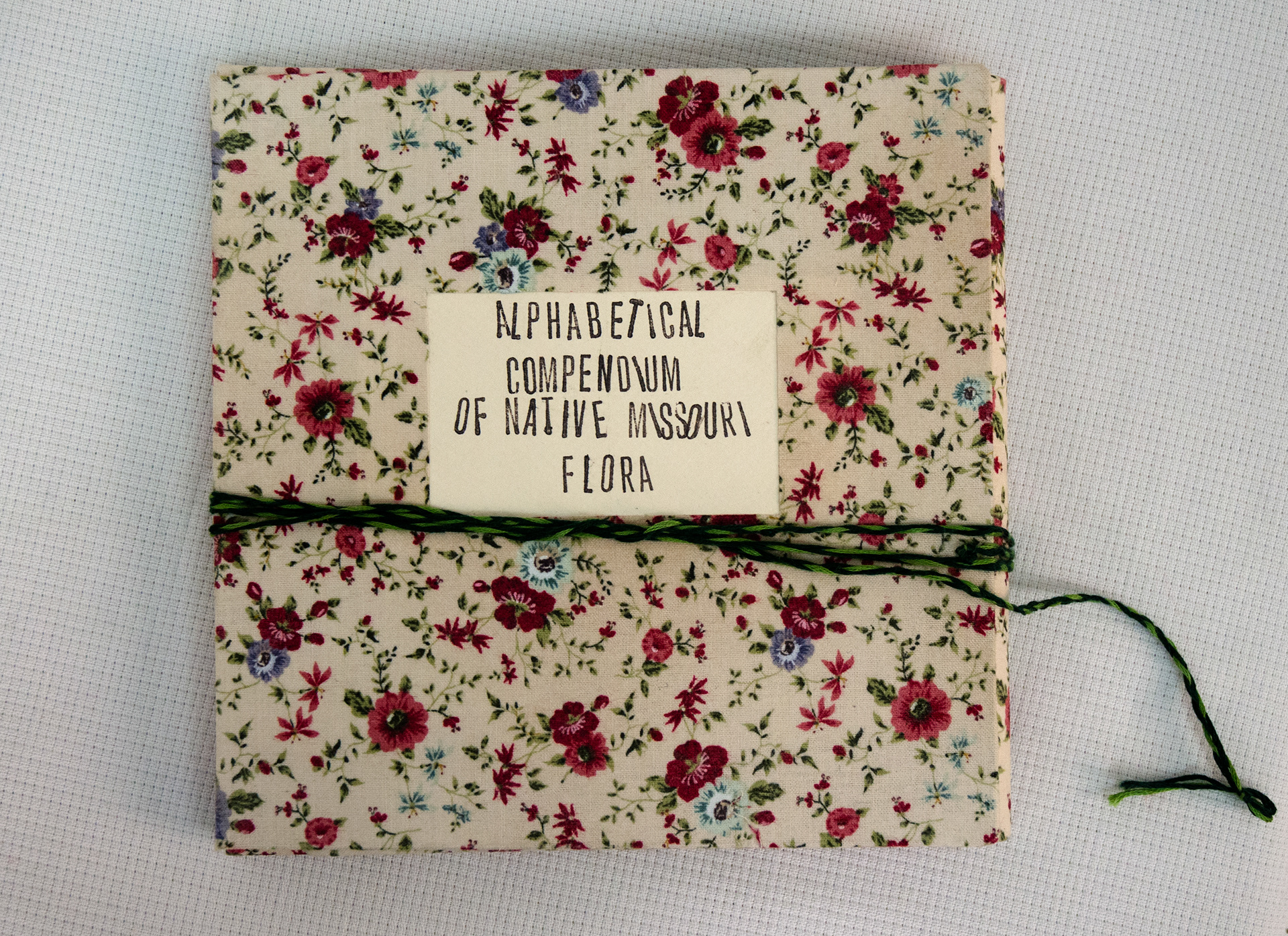 ‘An Alphabetical Compendium of Native Missouri Flora,’ 2017. Hand bound book, watercolor.