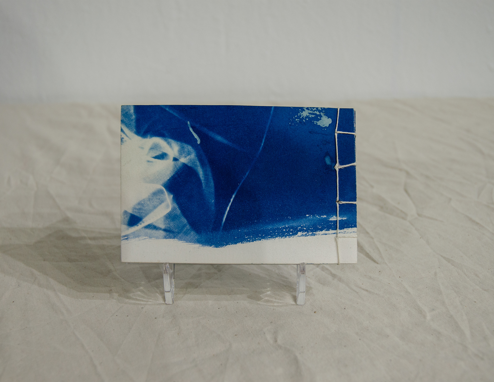 'Pack Rat,' 2020. Cyanotype on paper, found objects, Duralar. 