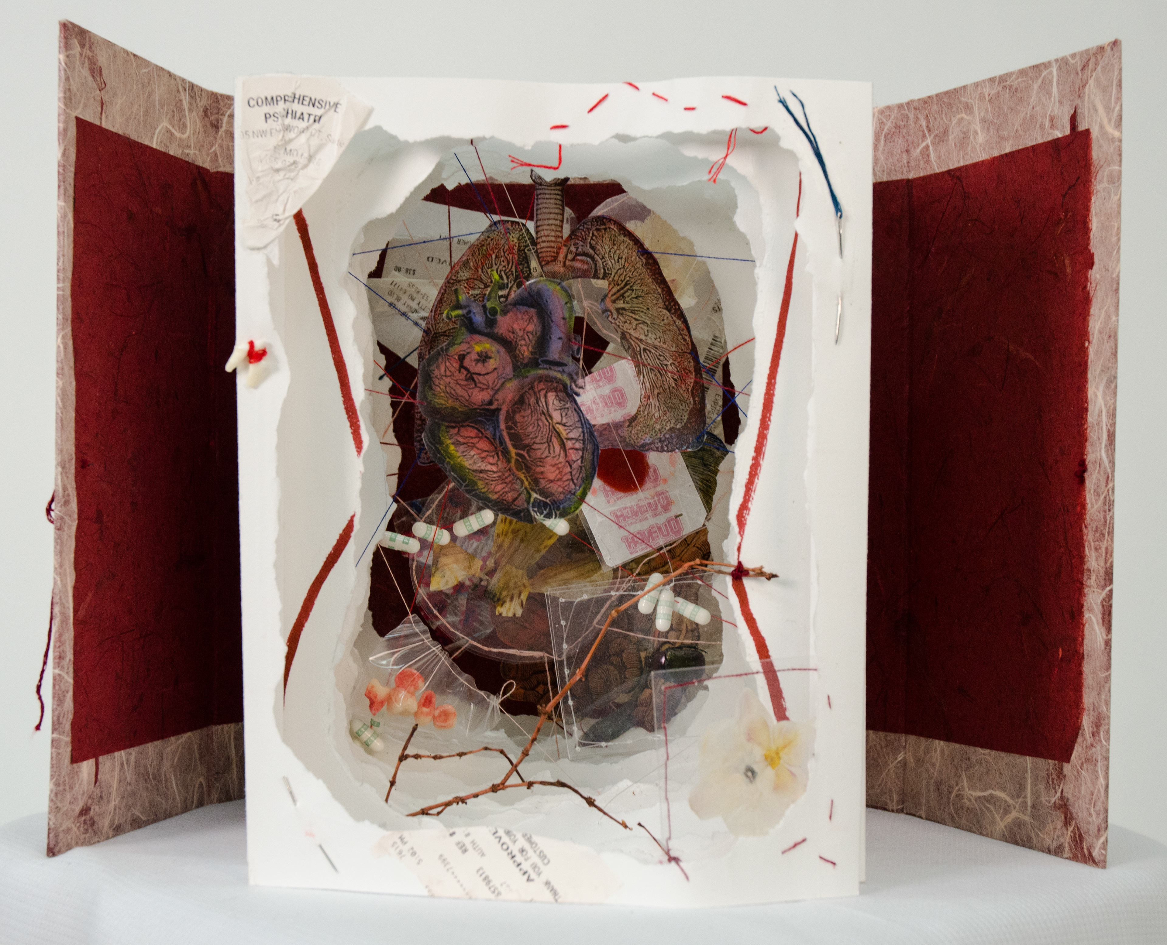 ‘A Crossection of What I Imagine My Body Looks Like Inside,’ 2017. Handmade artist book, animal teeth, bugs, pressed flowers, embroidery, chewed gum, various found materials.