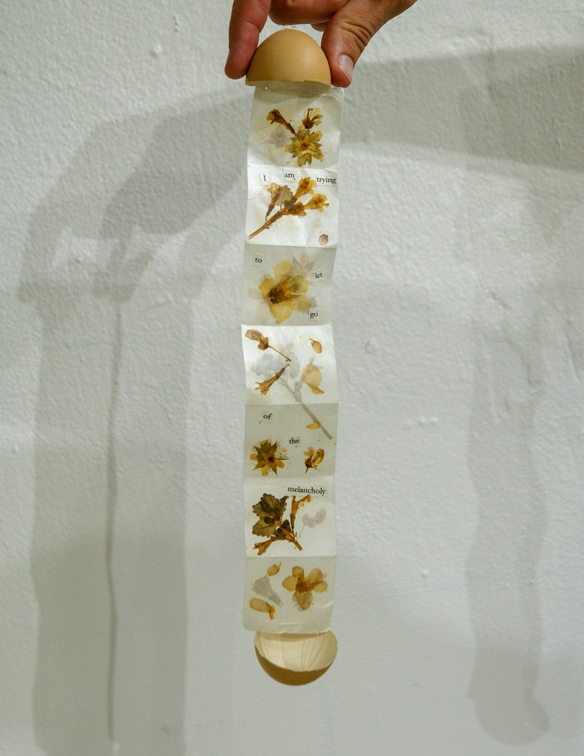 'Break,' 2020. Chicken egg, pressed flowers, paper.