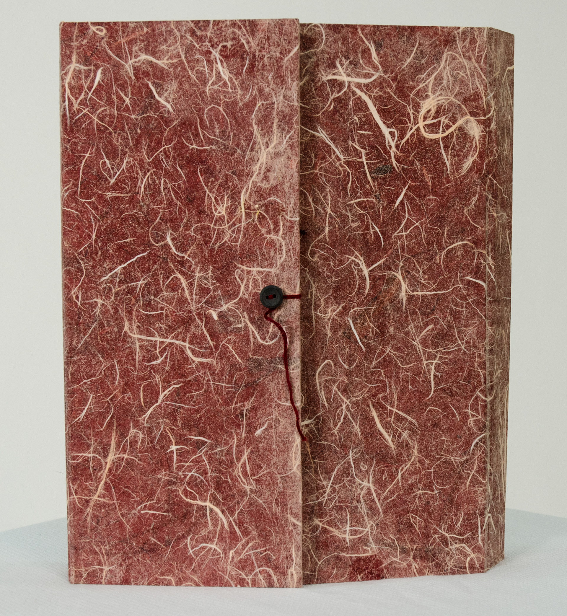 ‘A Crossection of What I Imagine My Body Looks Like Inside,’ 2017. Handmade artist book, animal teeth, bugs, pressed flowers, embroidery, chewed gum, various found materials.