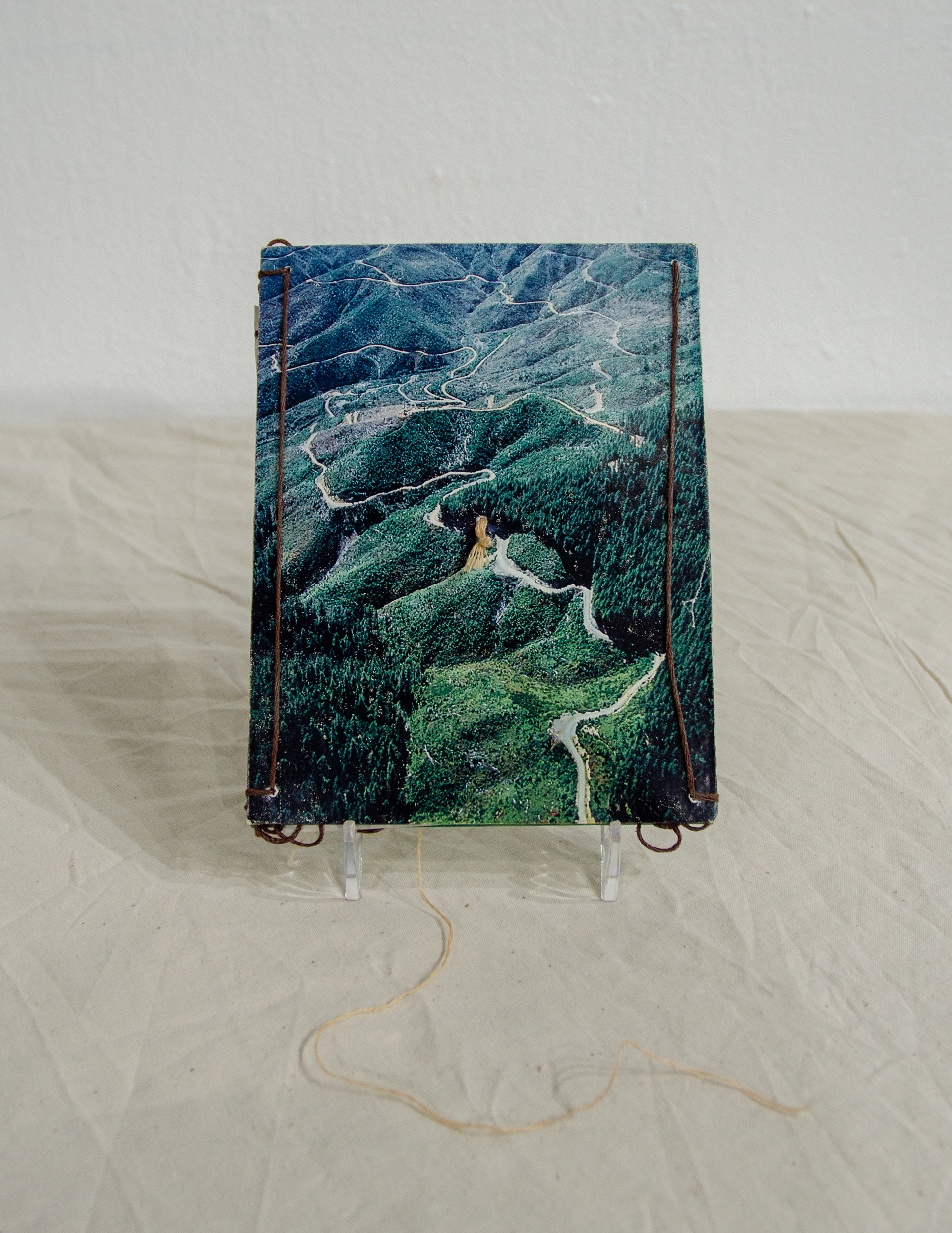 'Tap Root,' 2020. Found photos, embroidery thread, kozo paper.