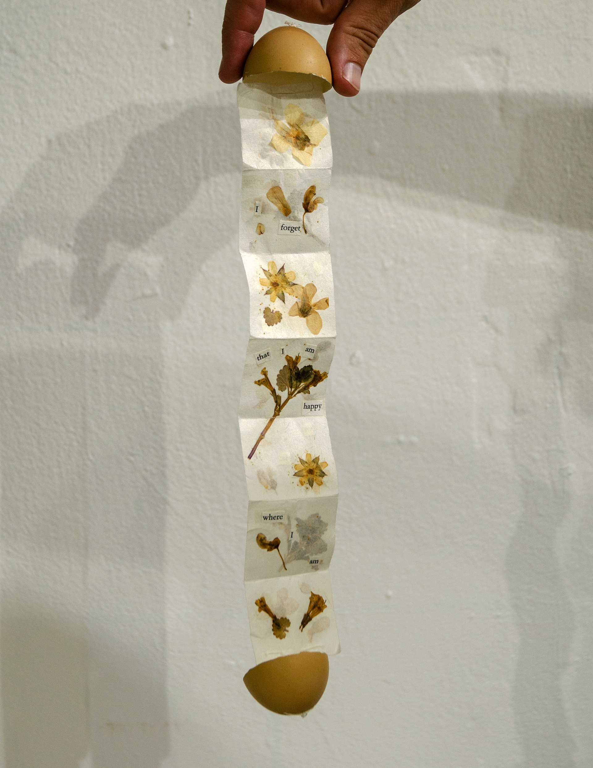 'Break,' 2020. Chicken egg, pressed flowers, paper.
