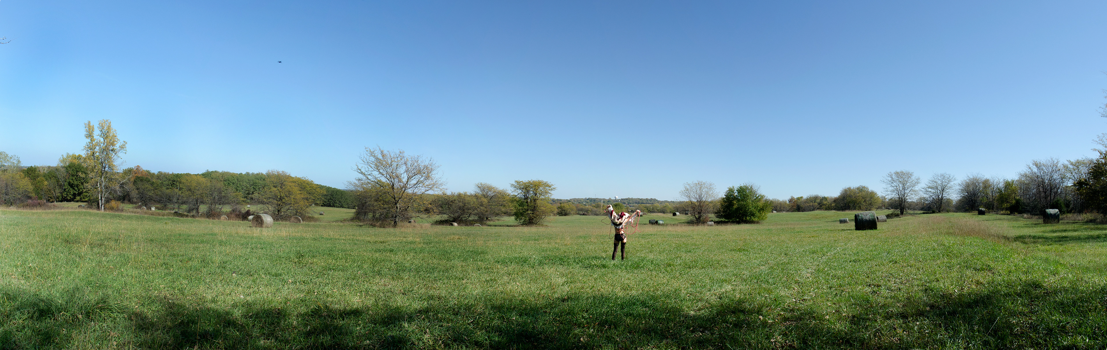 'Hysterical #5,' 2018. Digital photograph