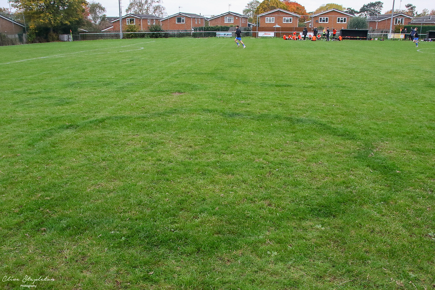 Mushroom Ring on Playing Surfave