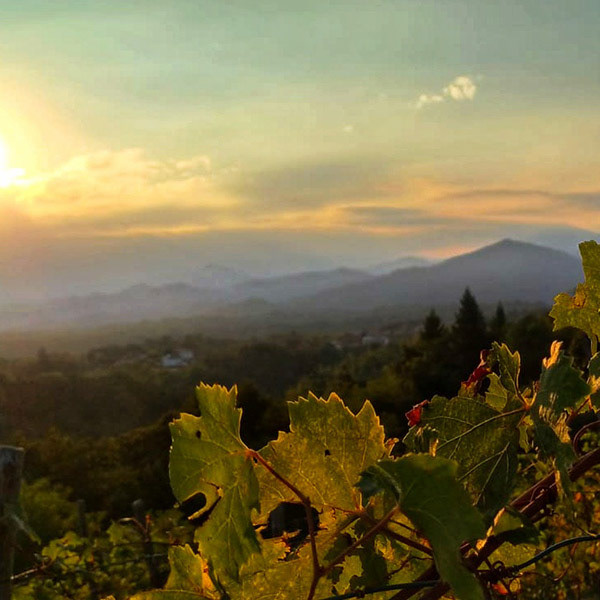 Colline in fuga