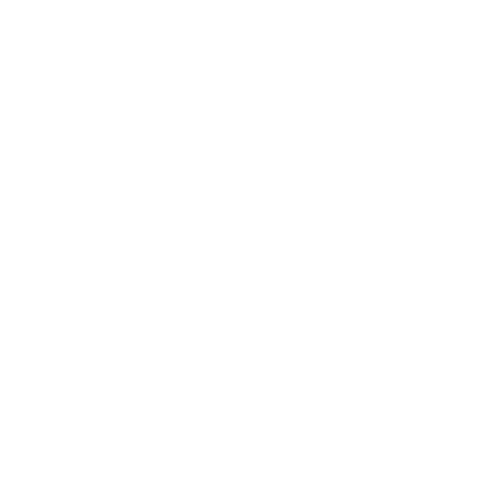 Vinícius de Mendonça