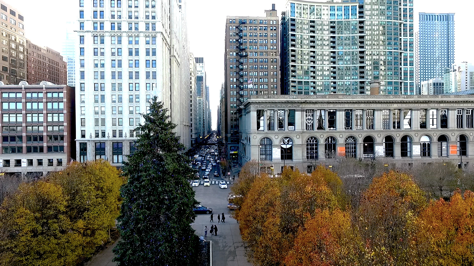 Chicago, How Do You See? | Norman Kelley