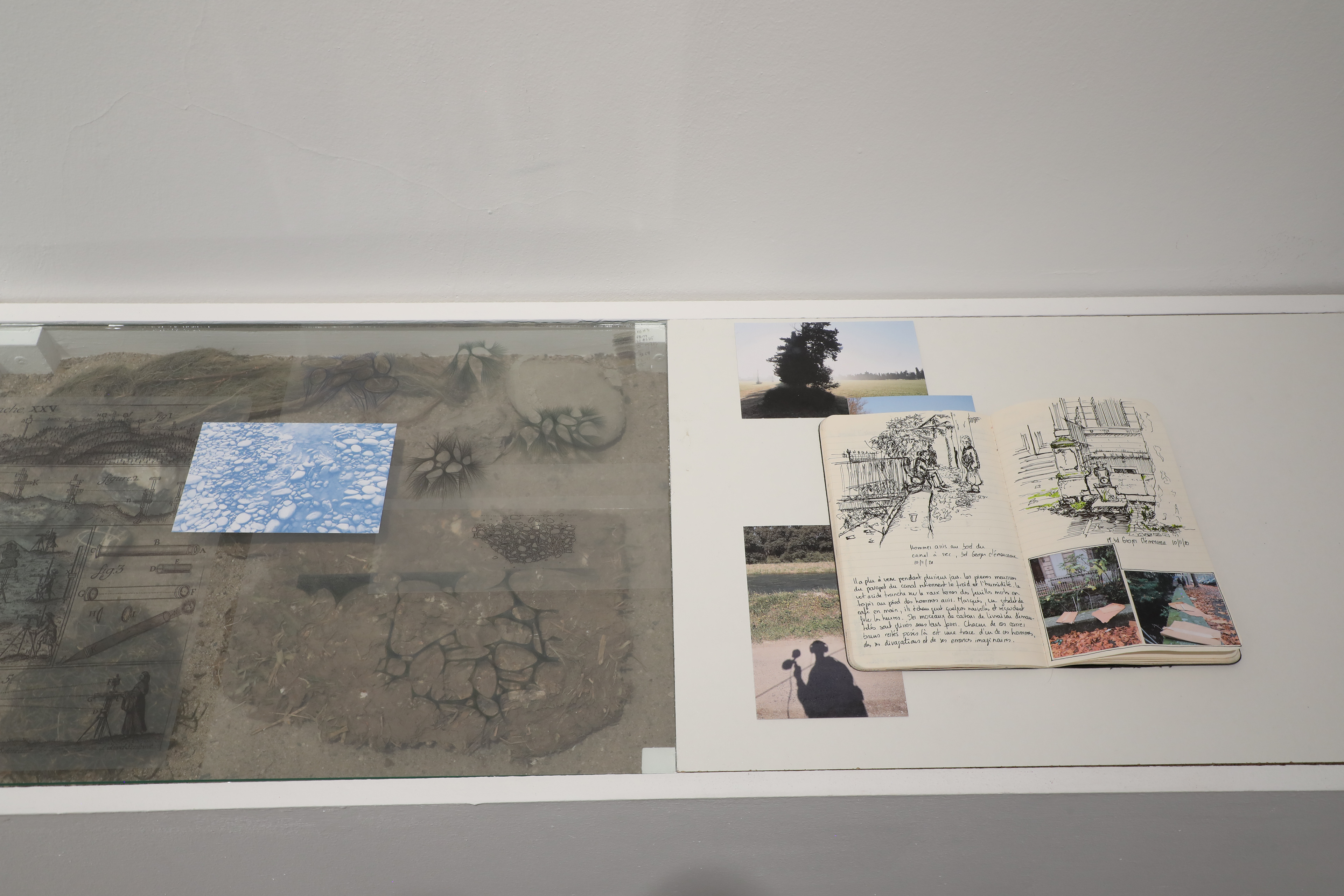 Le sens de l'orientation, Elizabeth Guyon.